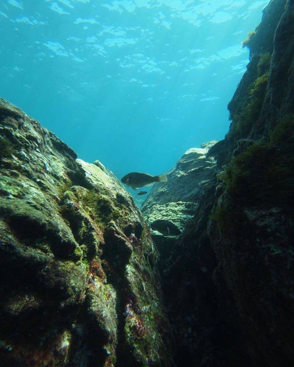 Alcala Reef