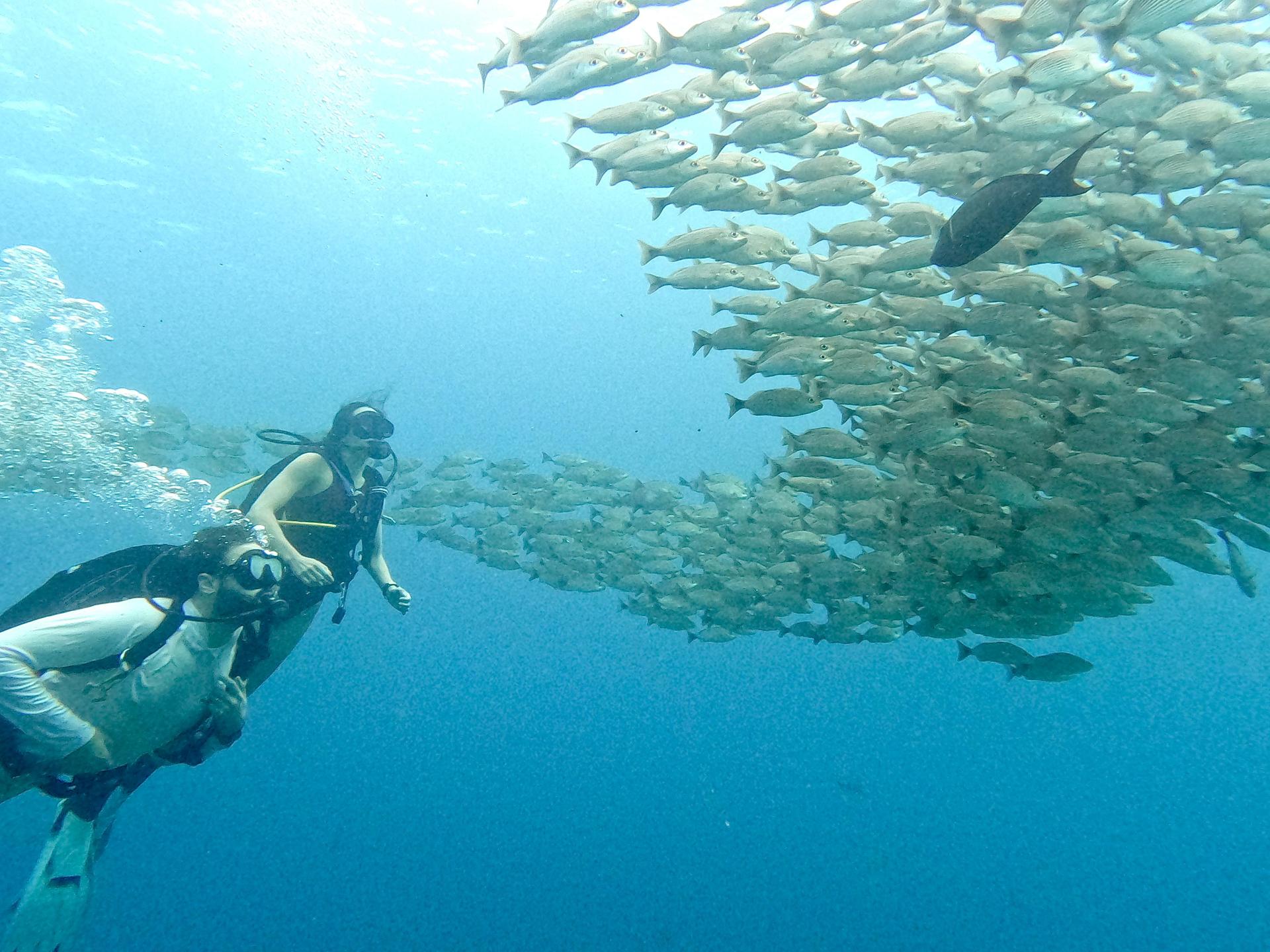 Don Juan (Dive Base Coiba)