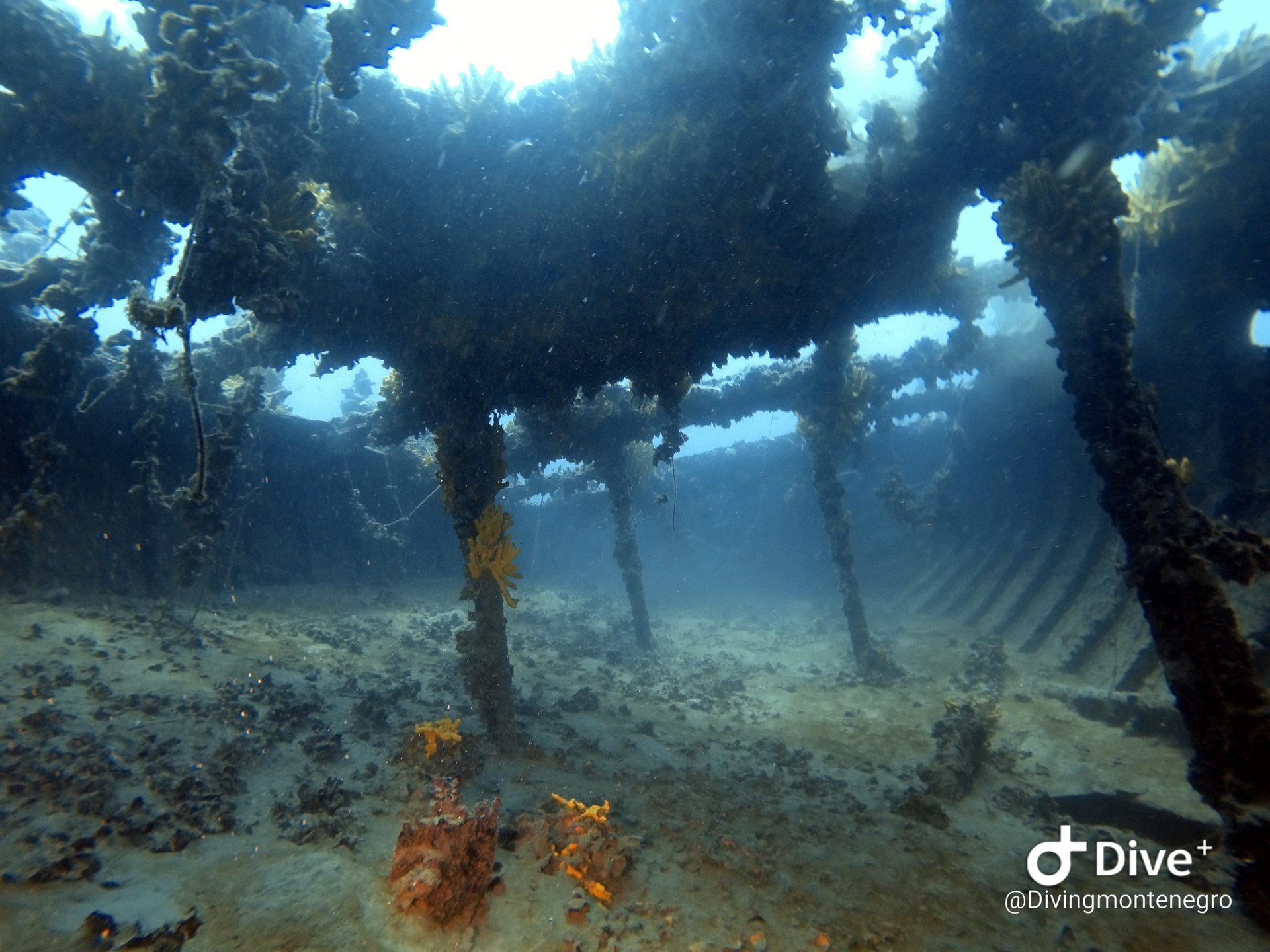 Tihani Shipwreck photo 13