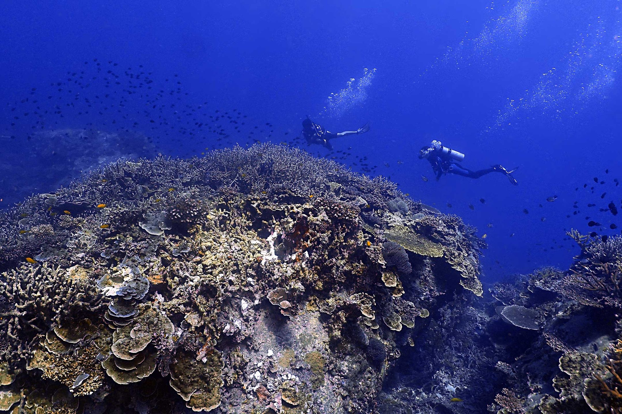 Chebeh Island photo 3