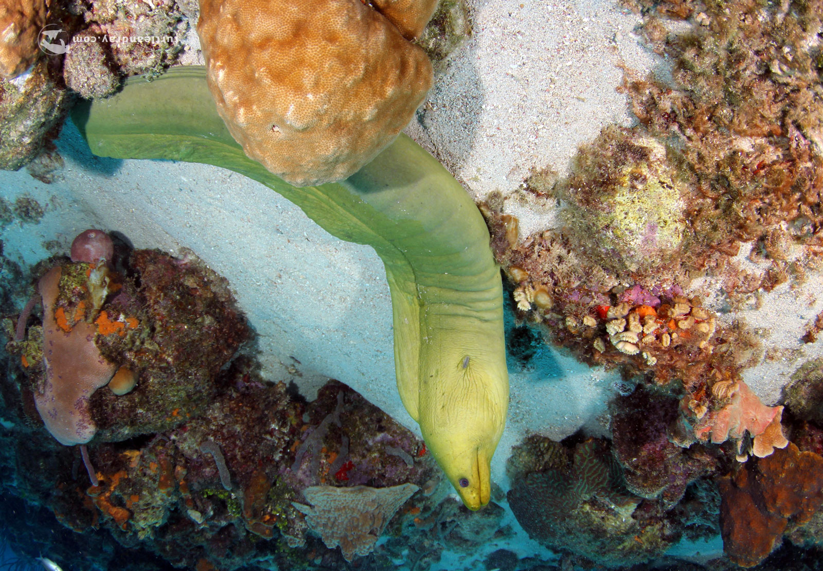 Santa Martha Bay photo 5