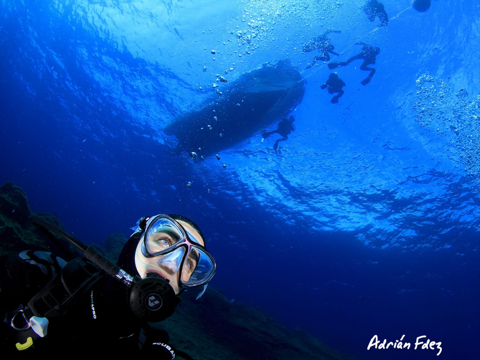 Baja Bocarones photo 8