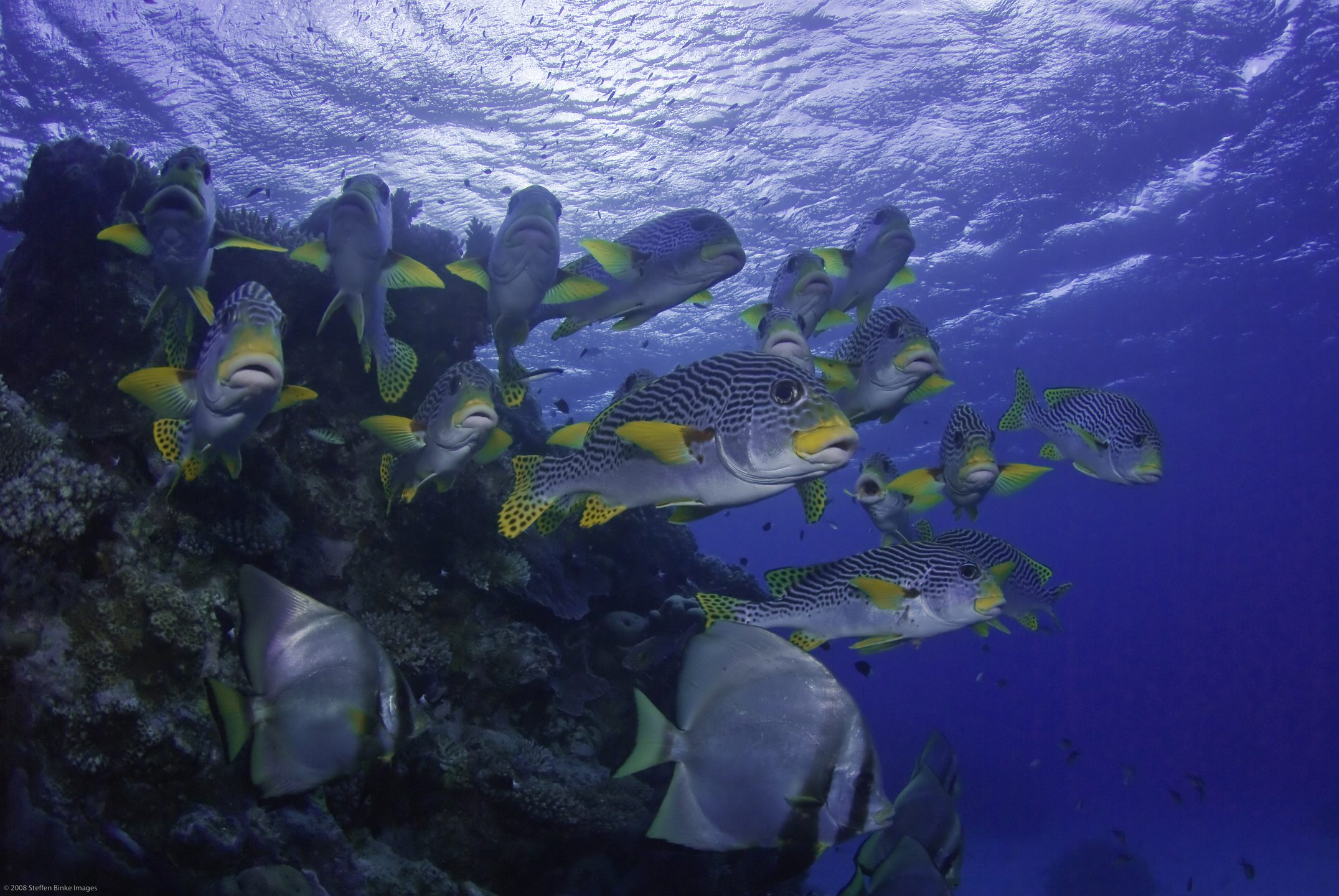 Milln Reef photo 3