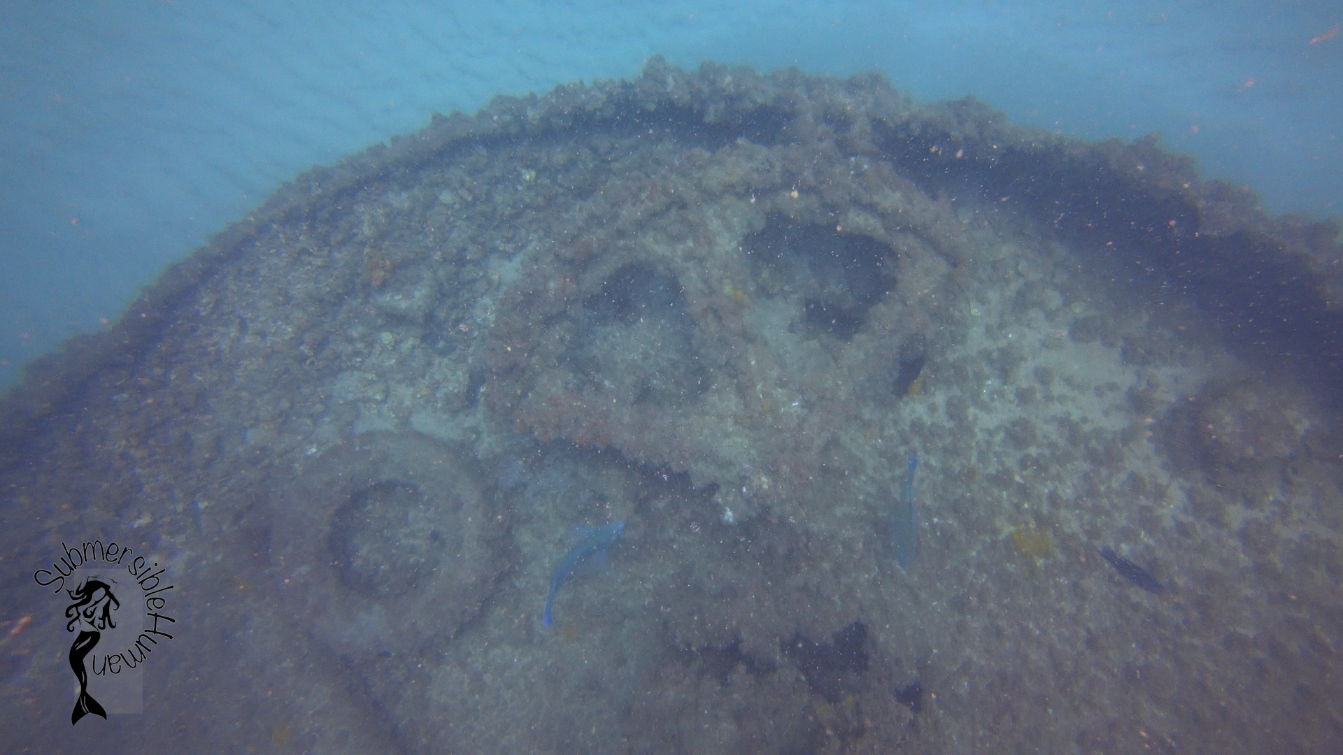 Curtin Artificial Reef - Moreton Bay photo 5