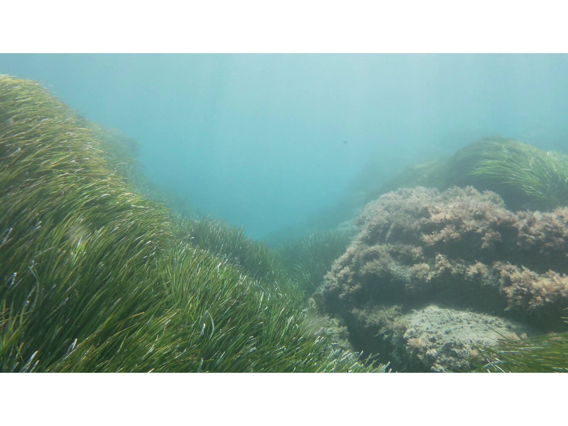 Aspro Reef photo 4