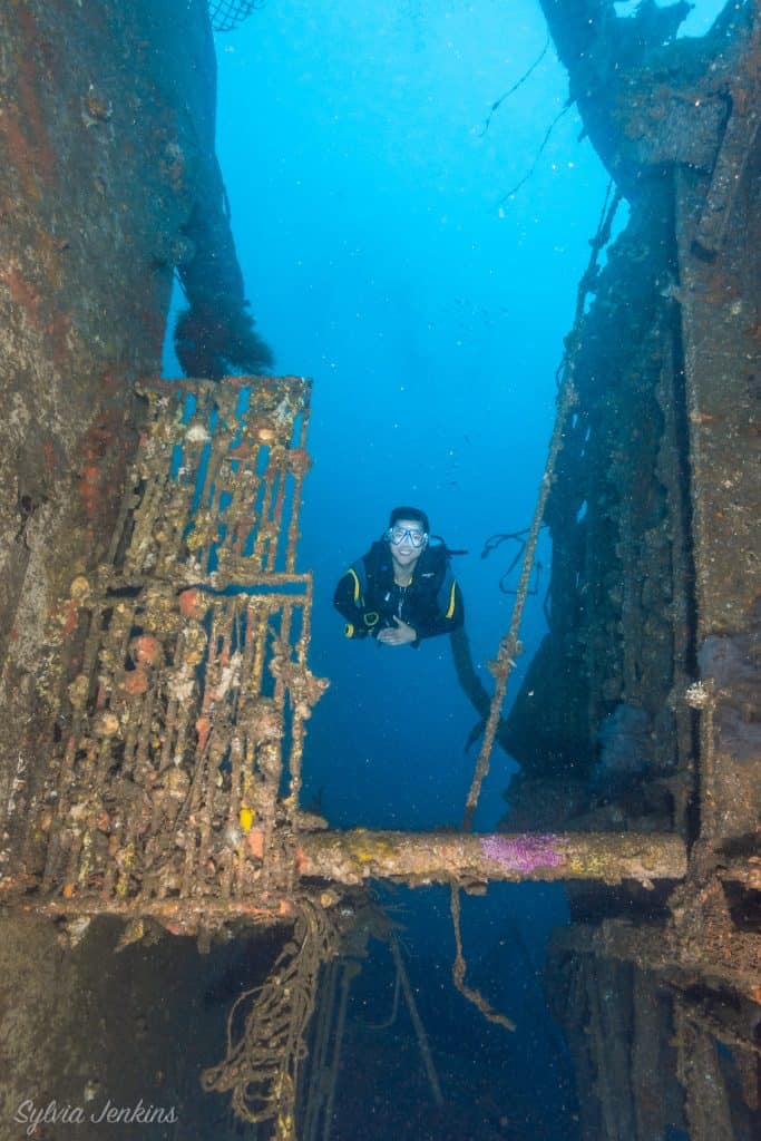 Dona Marilyn Wreck