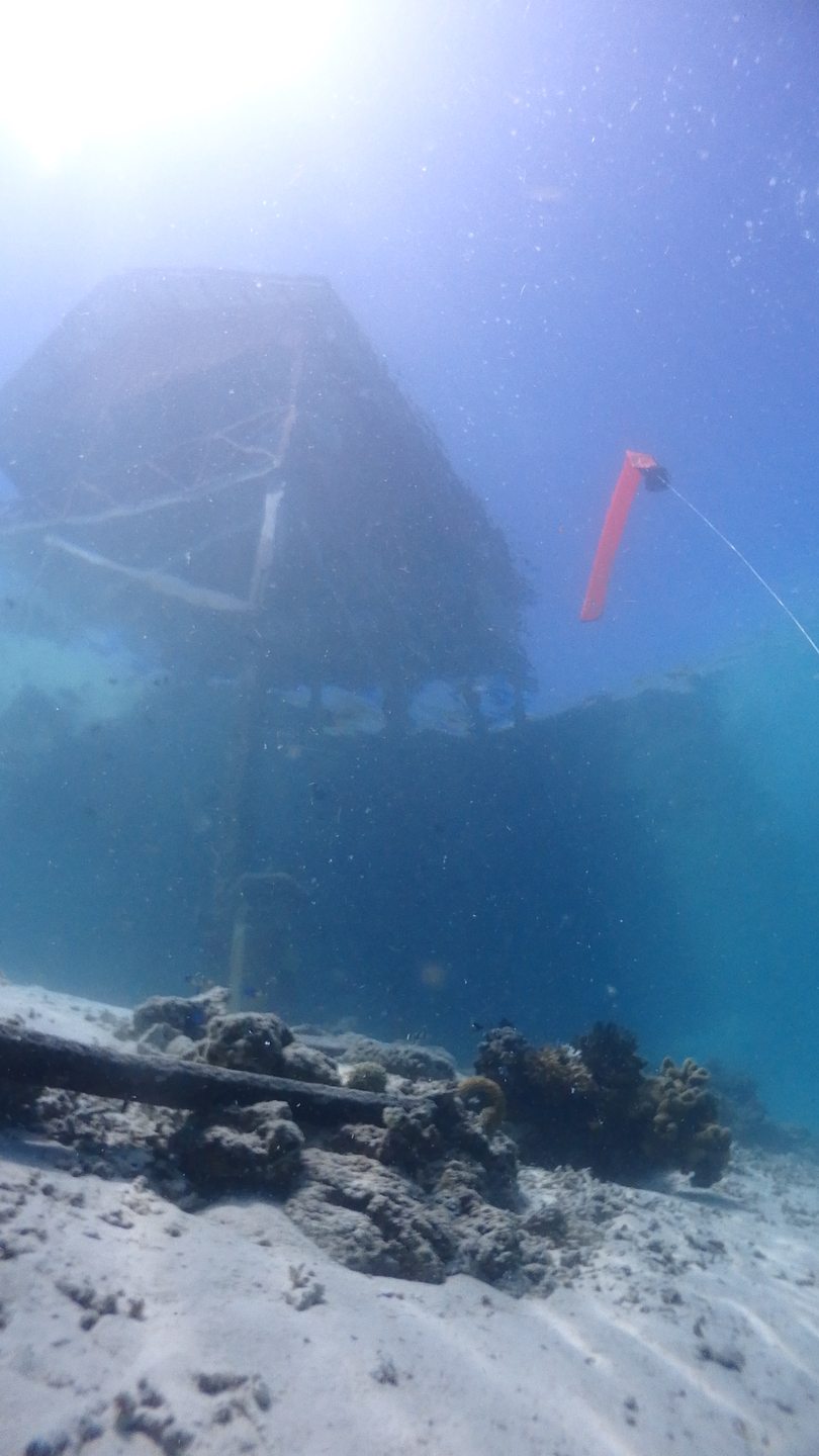 2WIN House Reef photo 3
