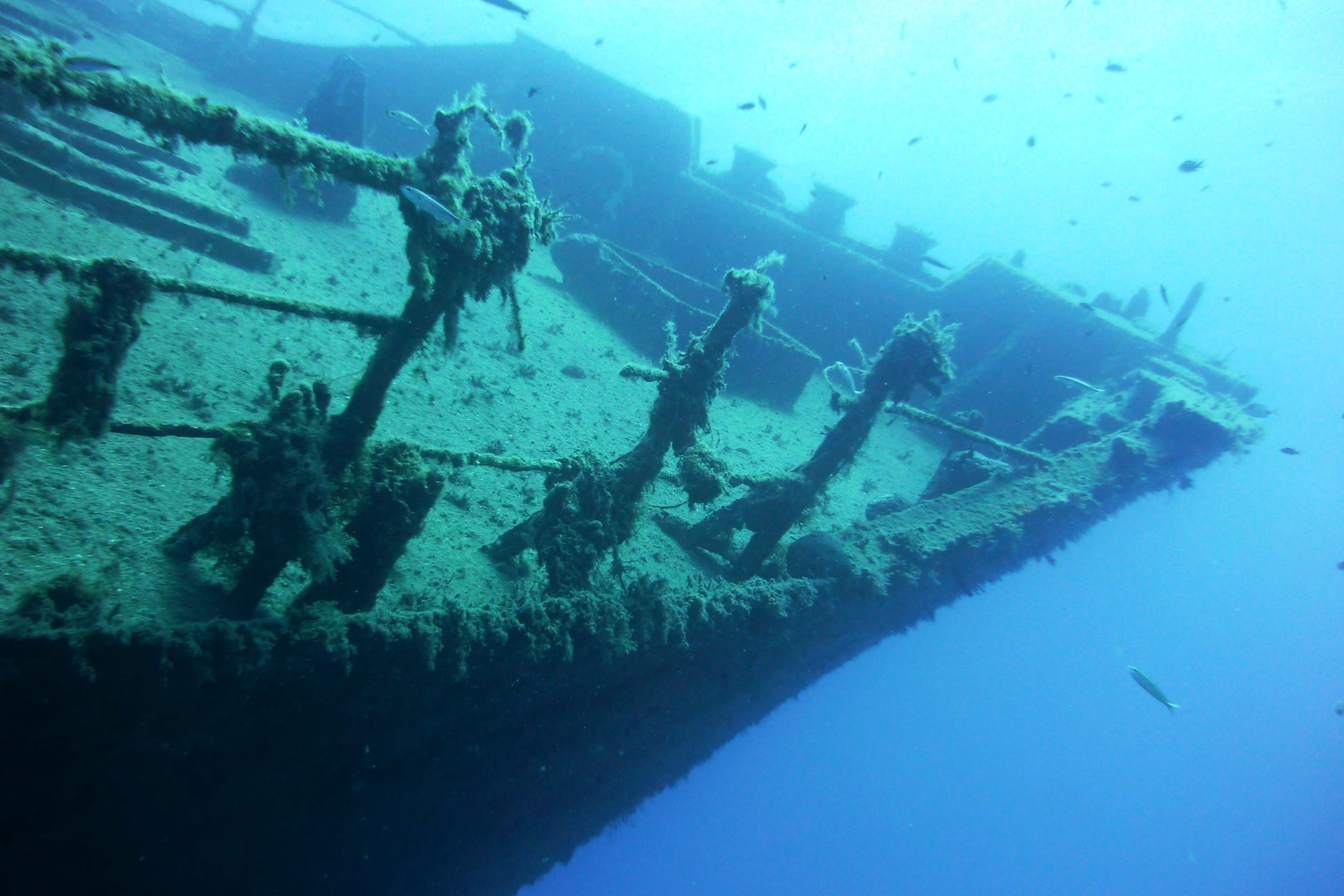 Plimiri photo 4