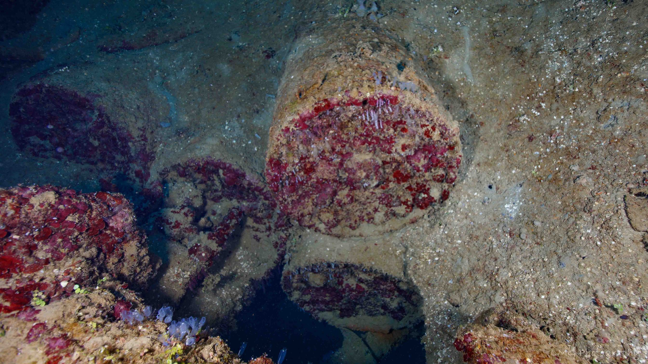 Tokai Maru photo 6