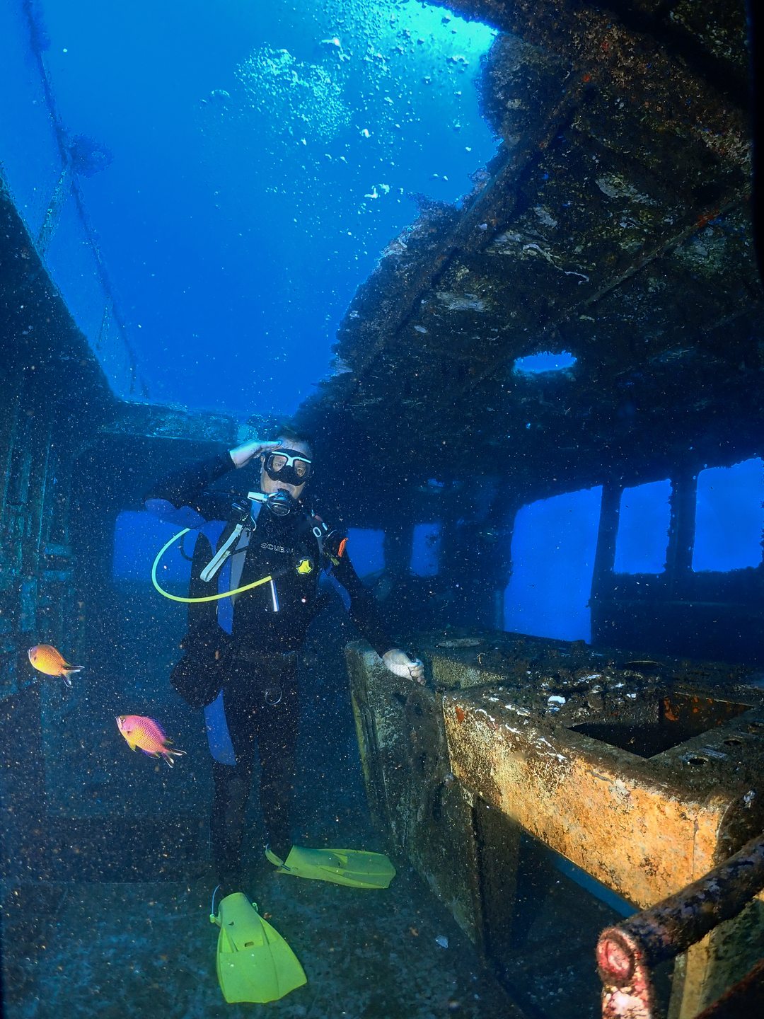 Wreck Afonso Cerqueira photo 8