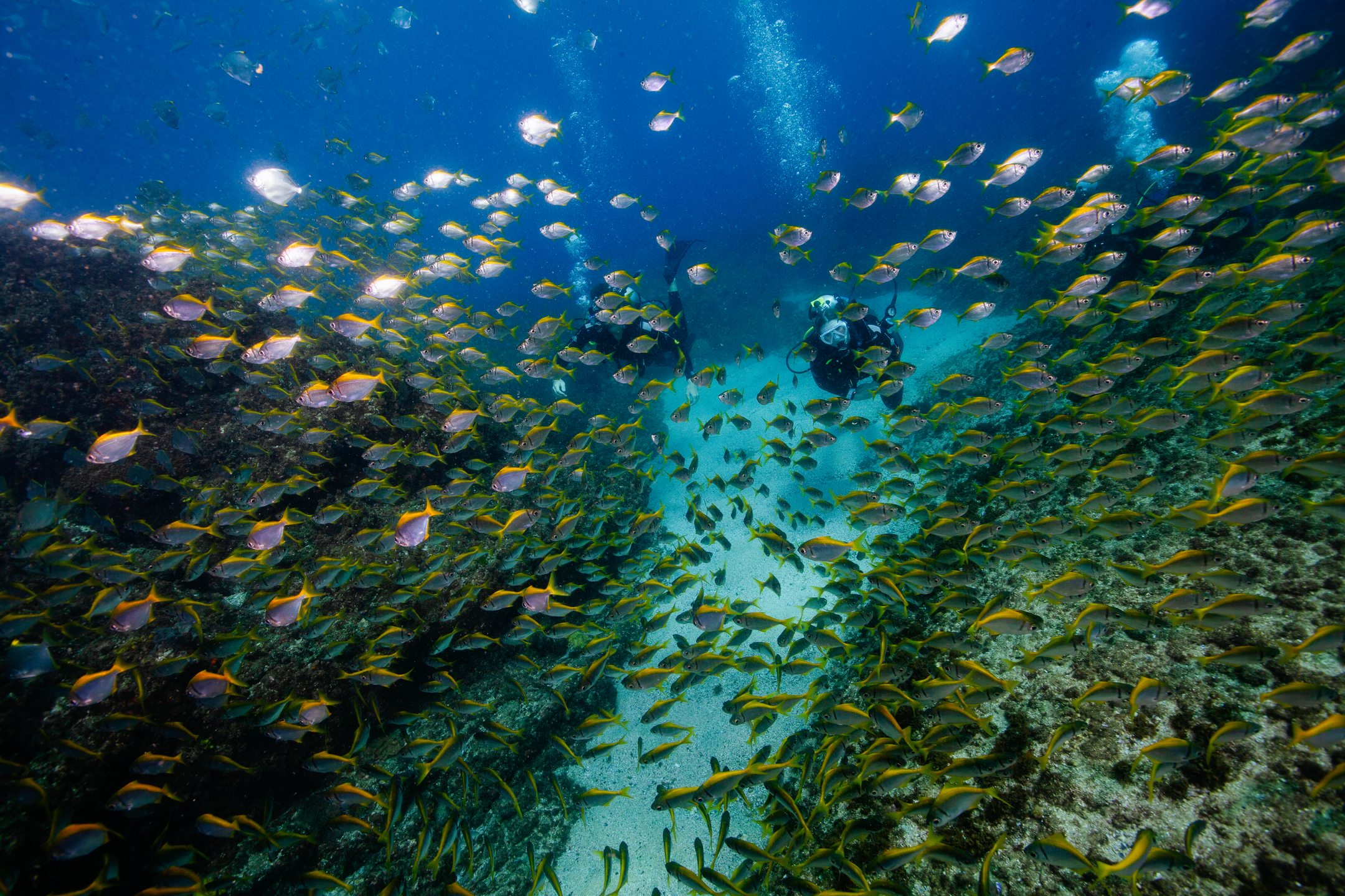 Wonder Reef photo 5