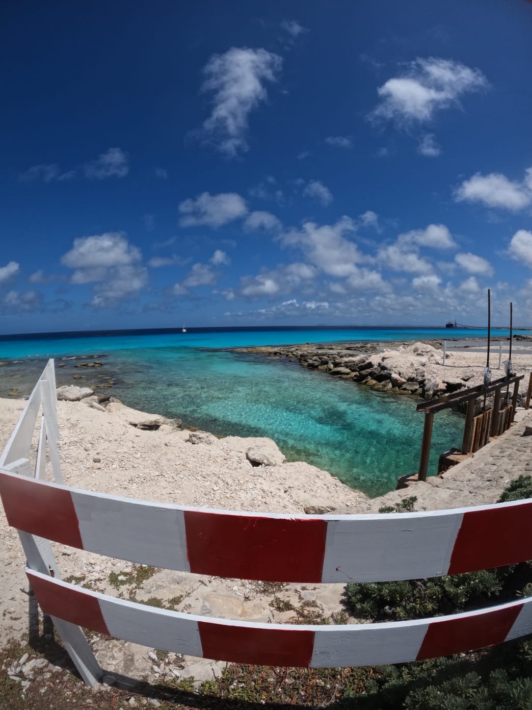 Tori's Reef