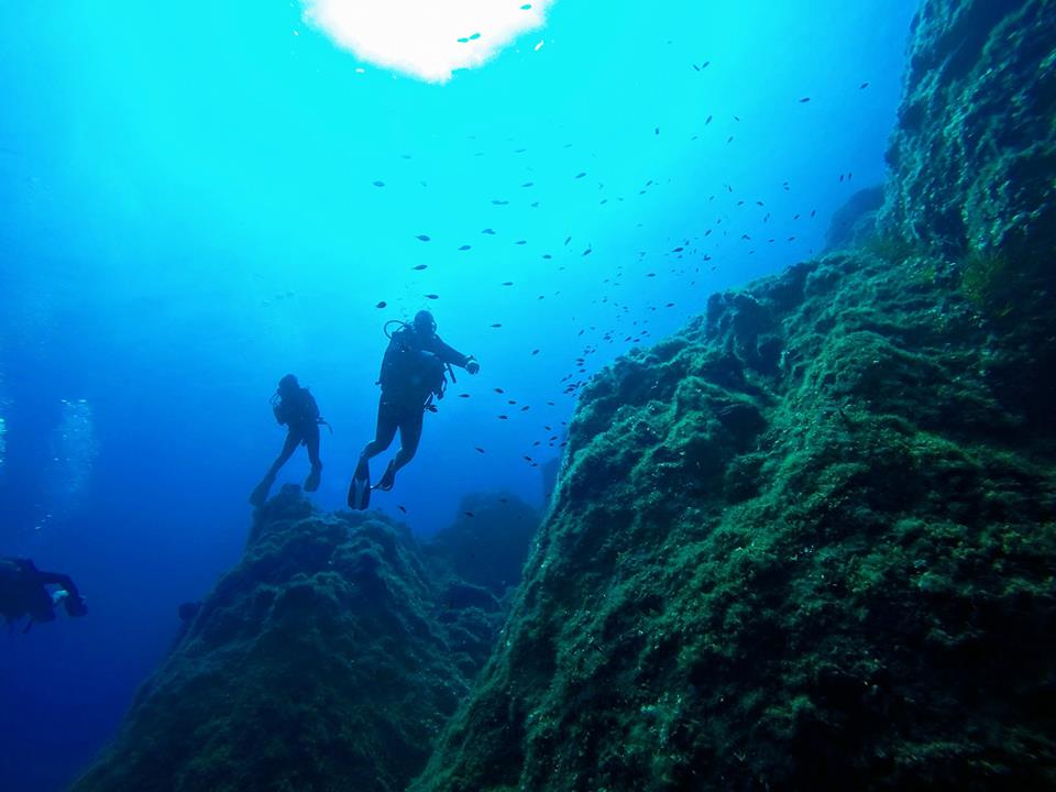 Airport Reef photo 2