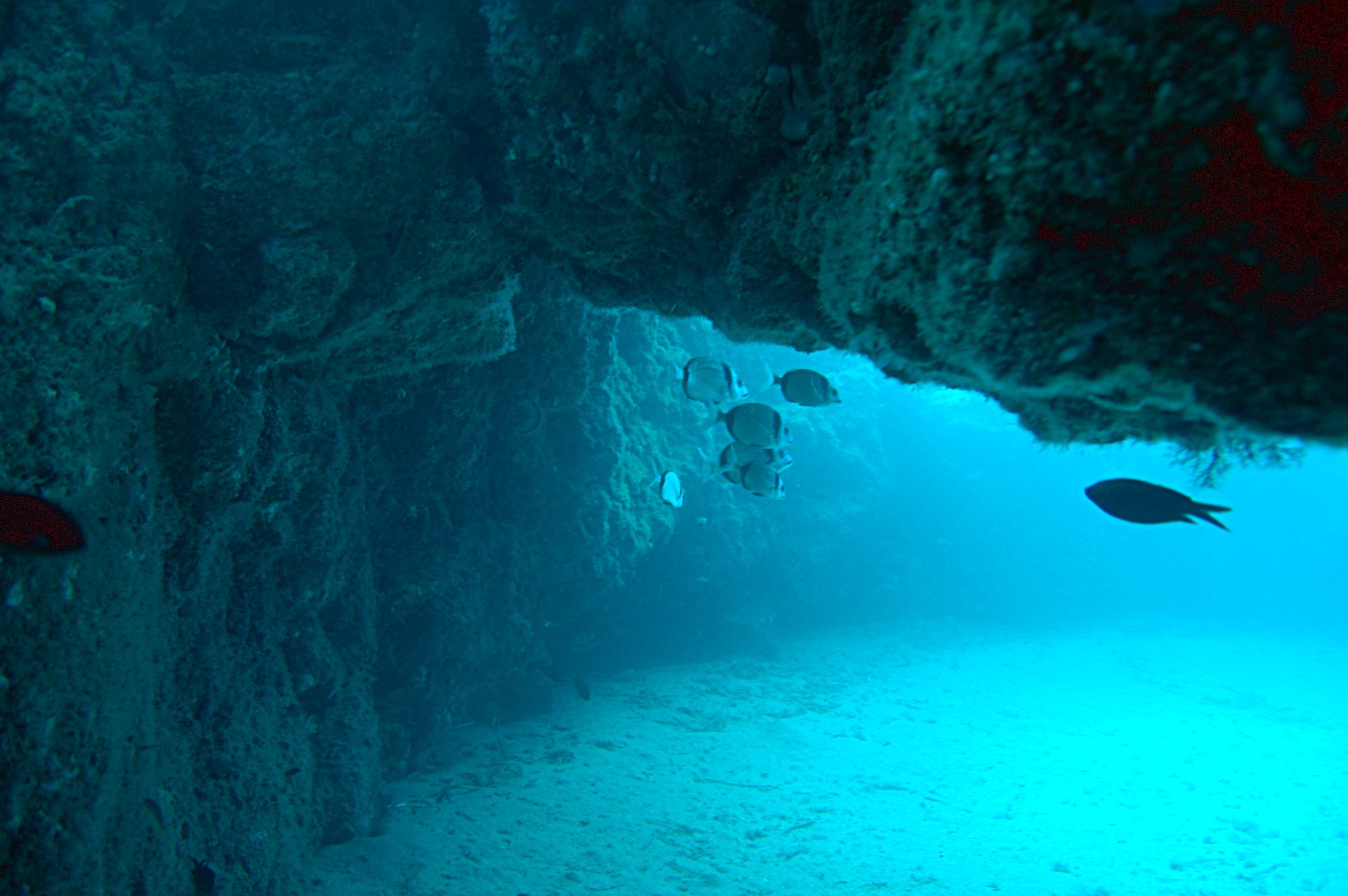 El Arco de San Andrés photo 6