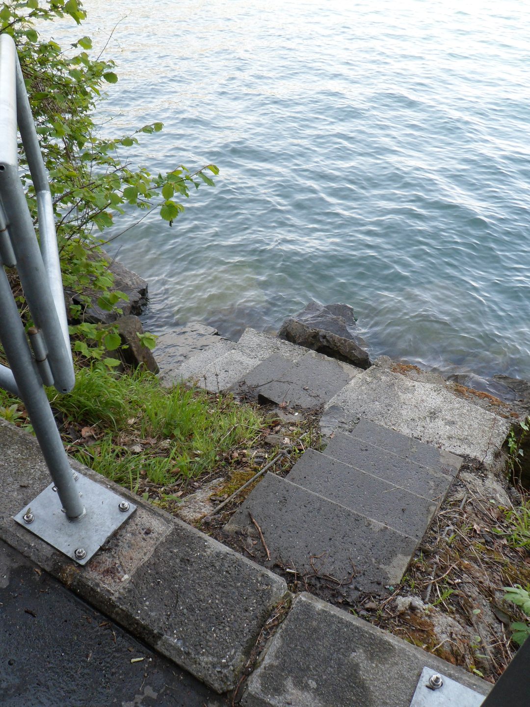 Lopper I Hergiswil photo 3