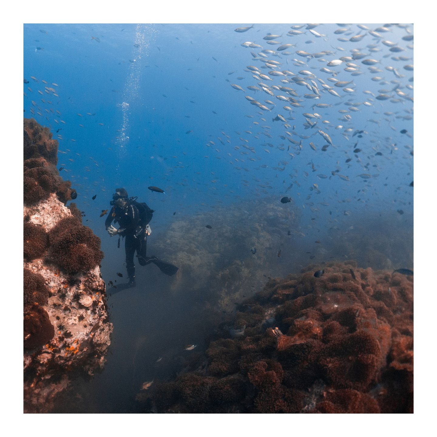 Chumphon Pinnacle photo 6