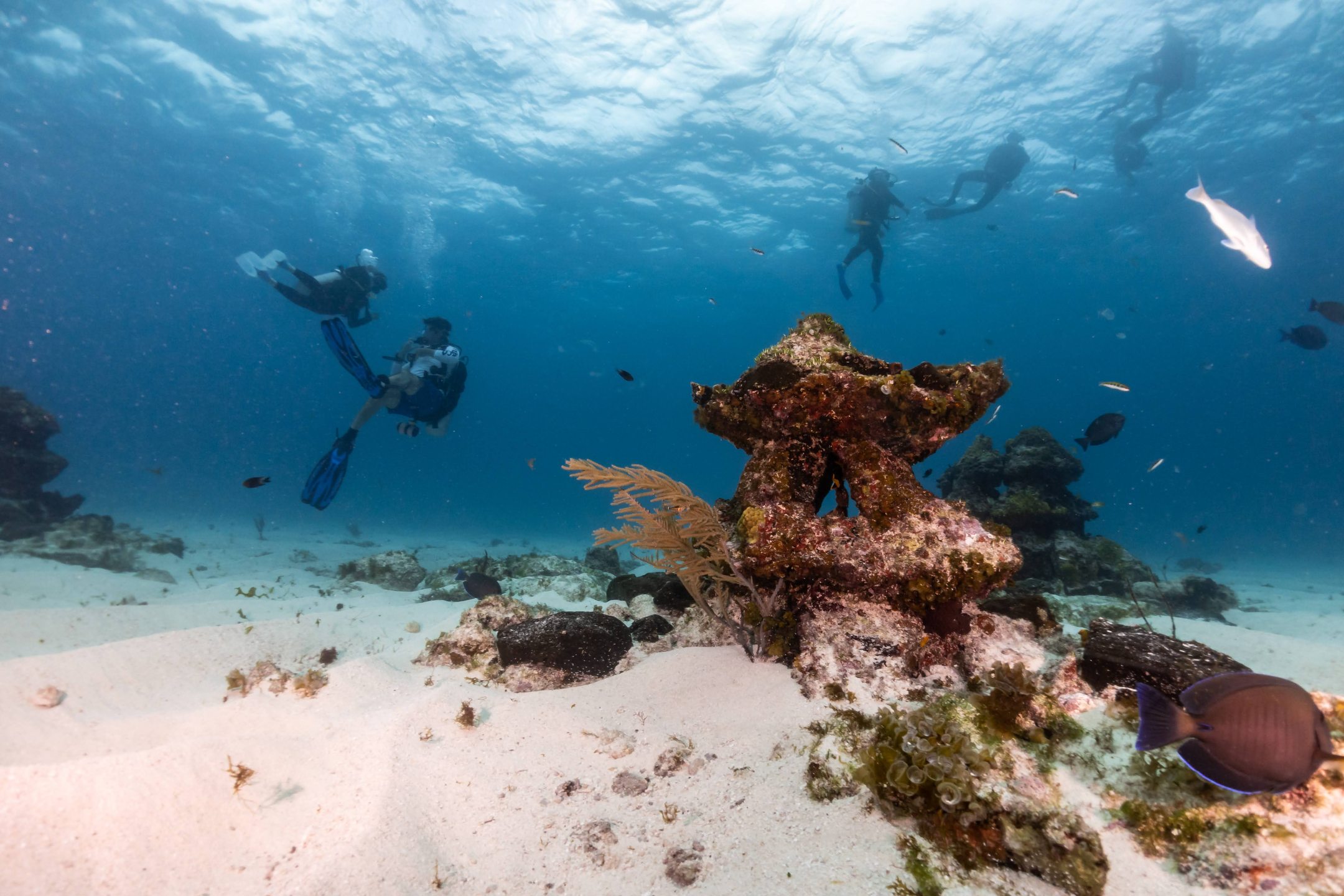 MUSA cancun underwater museum photo 5