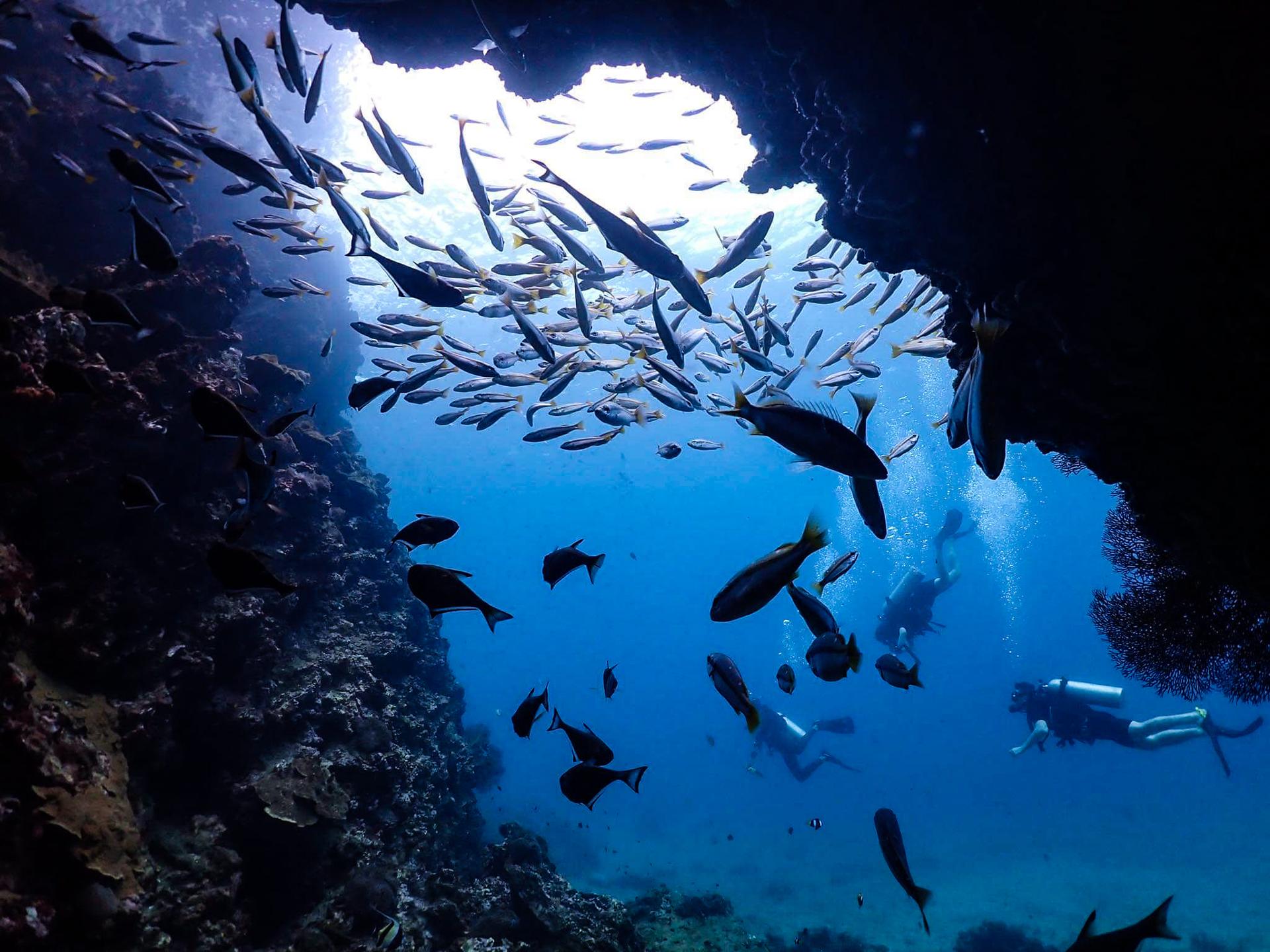 Shark Point photo 2