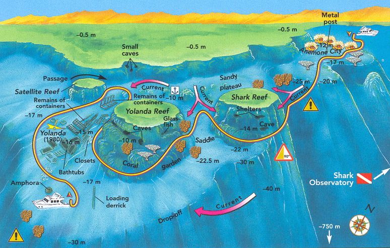yolanda house reef