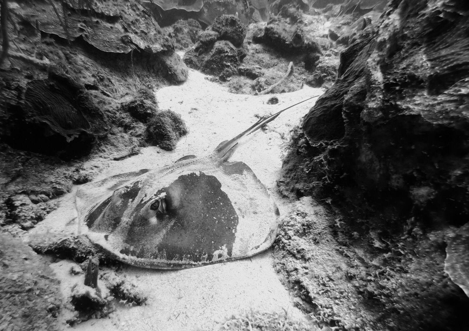 Turtle Rock photo 3
