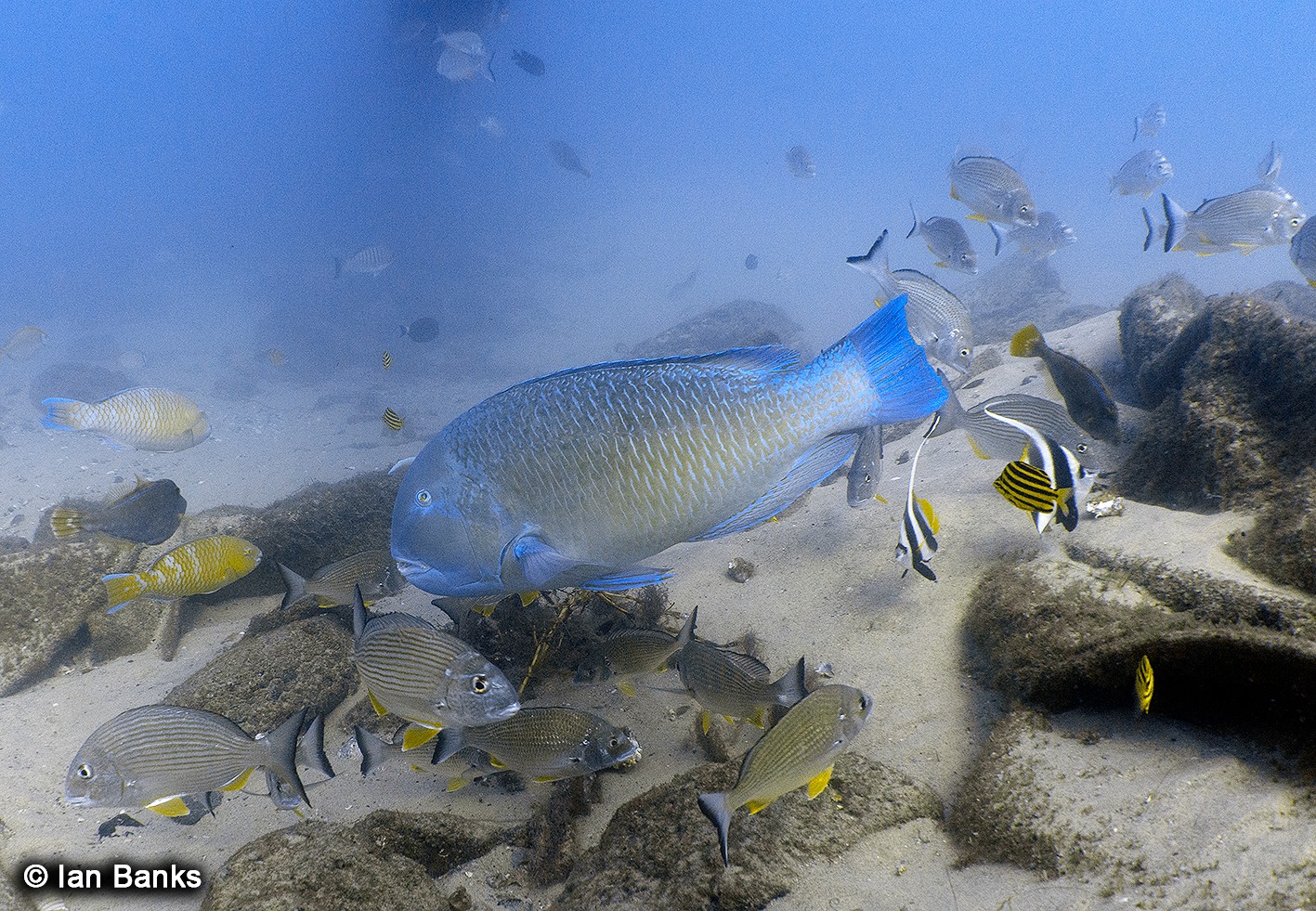 Gold Coast Seaway photo 6