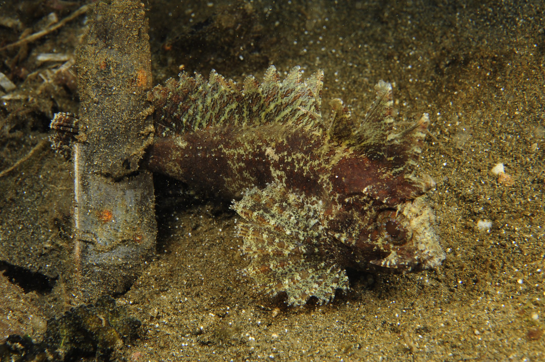 Secret Bay photo 6