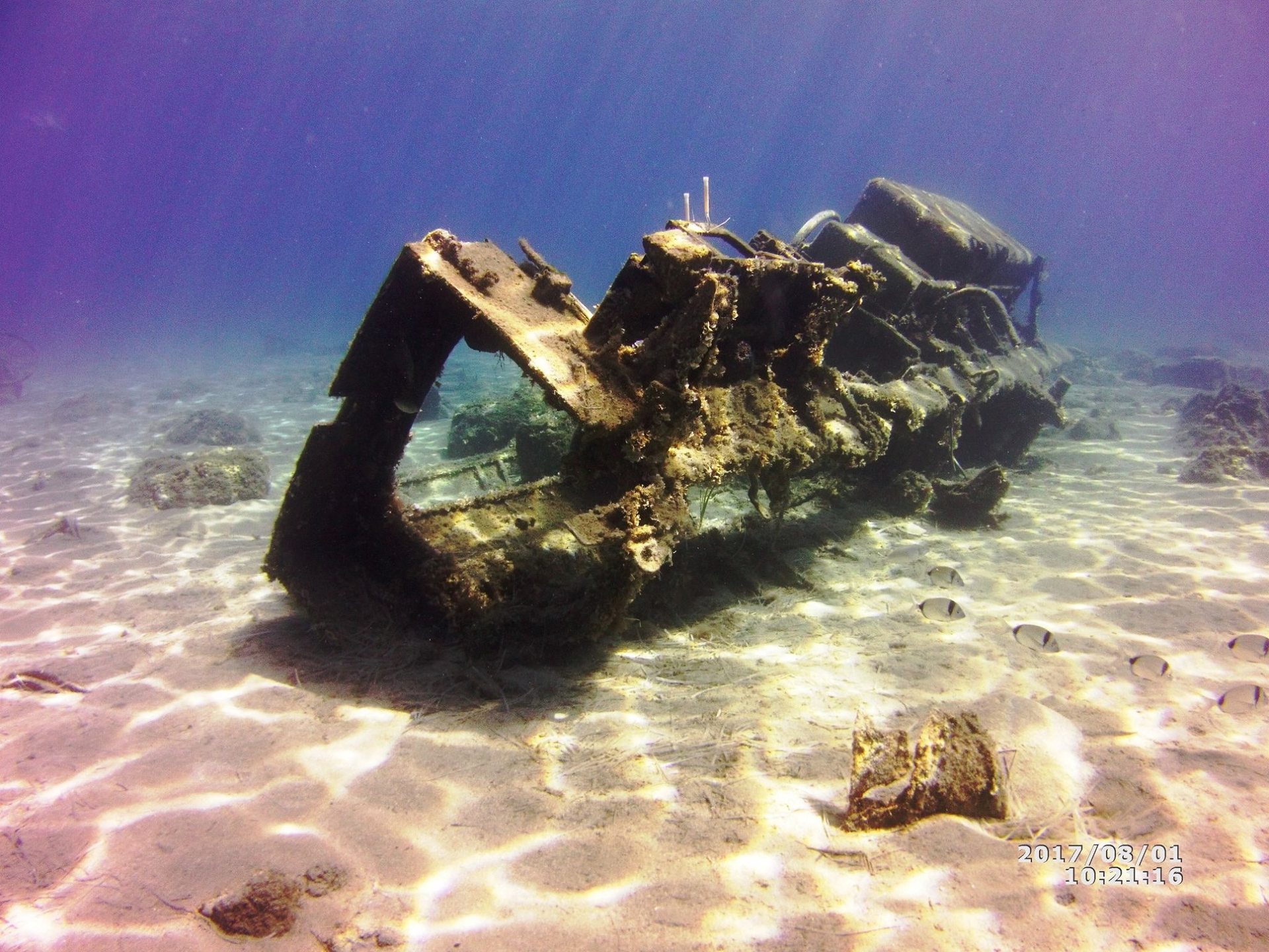 Akrotiri Fish Reserve