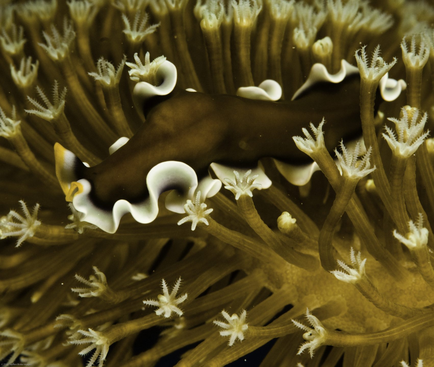 Thetford Reef photo 3