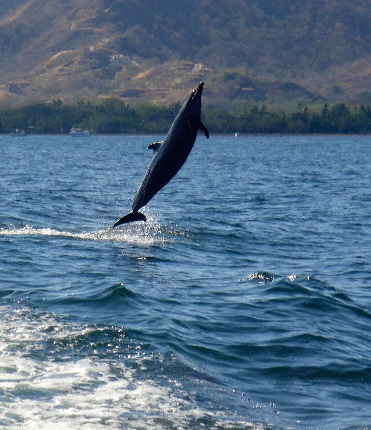 Punta Catalina photo 2