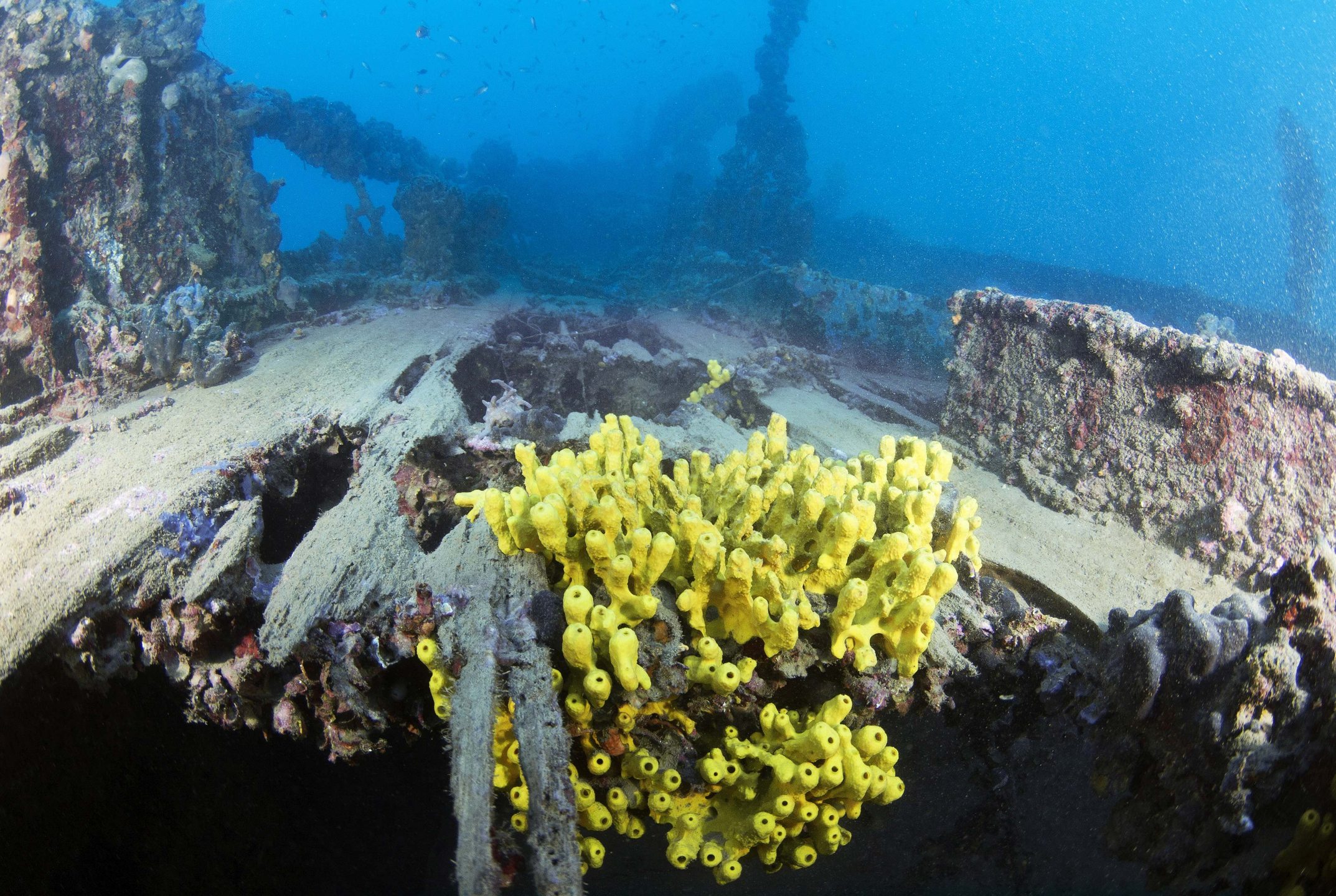 Tihani Shipwreck photo 8