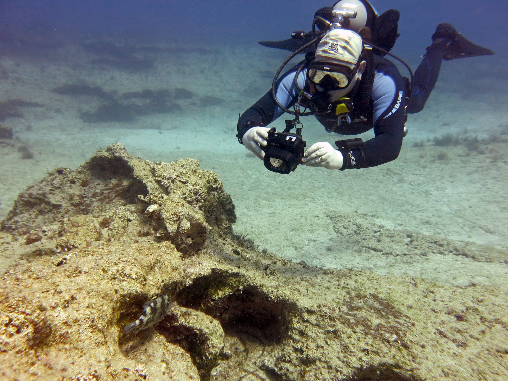 Roman Harbour photo 4