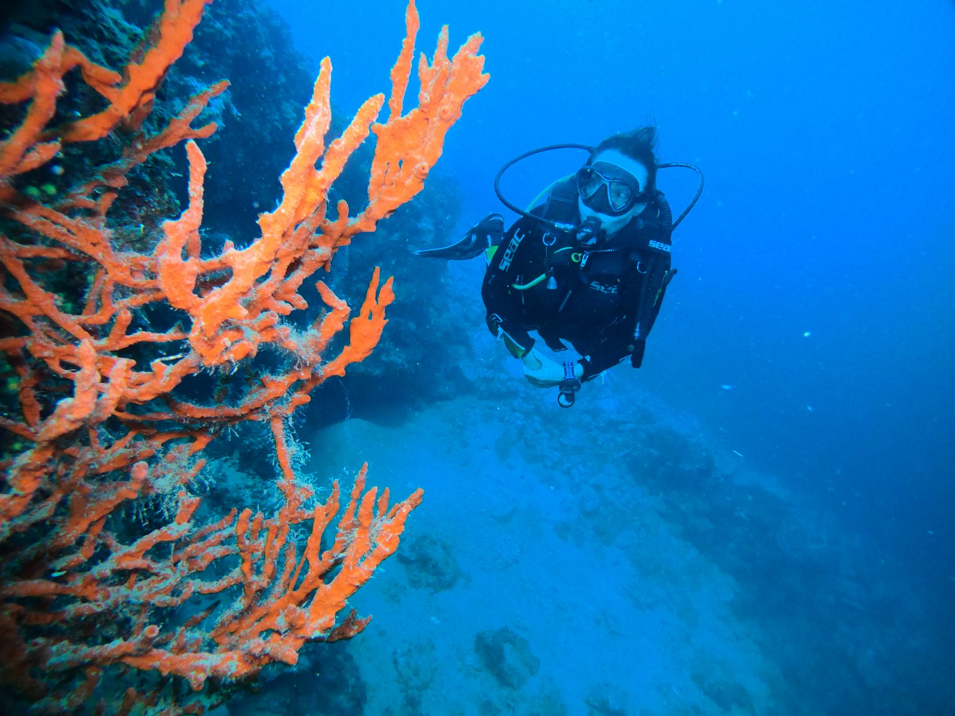 Taxiarxis reef photo 5