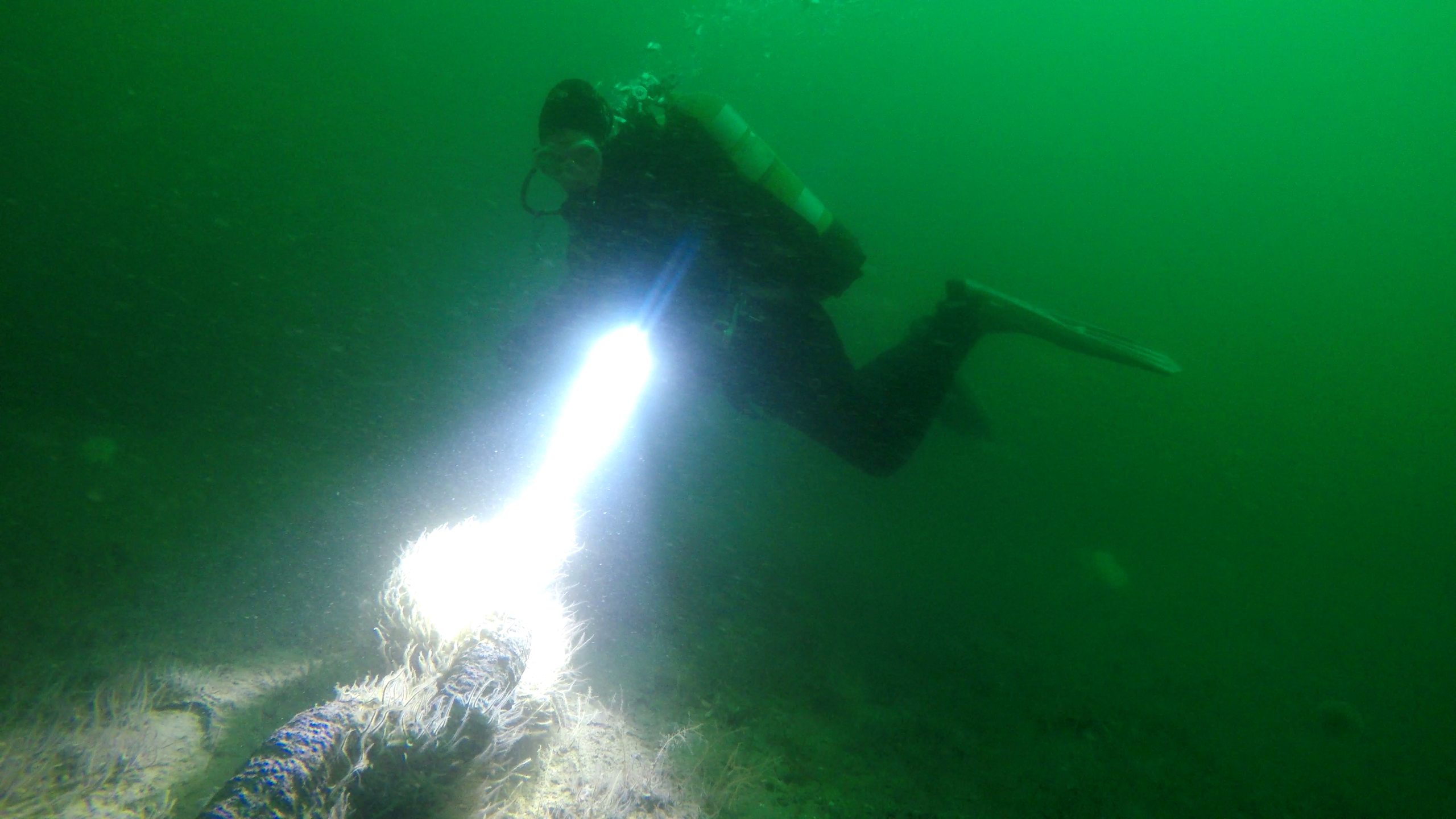 Scapa Flow photo 4