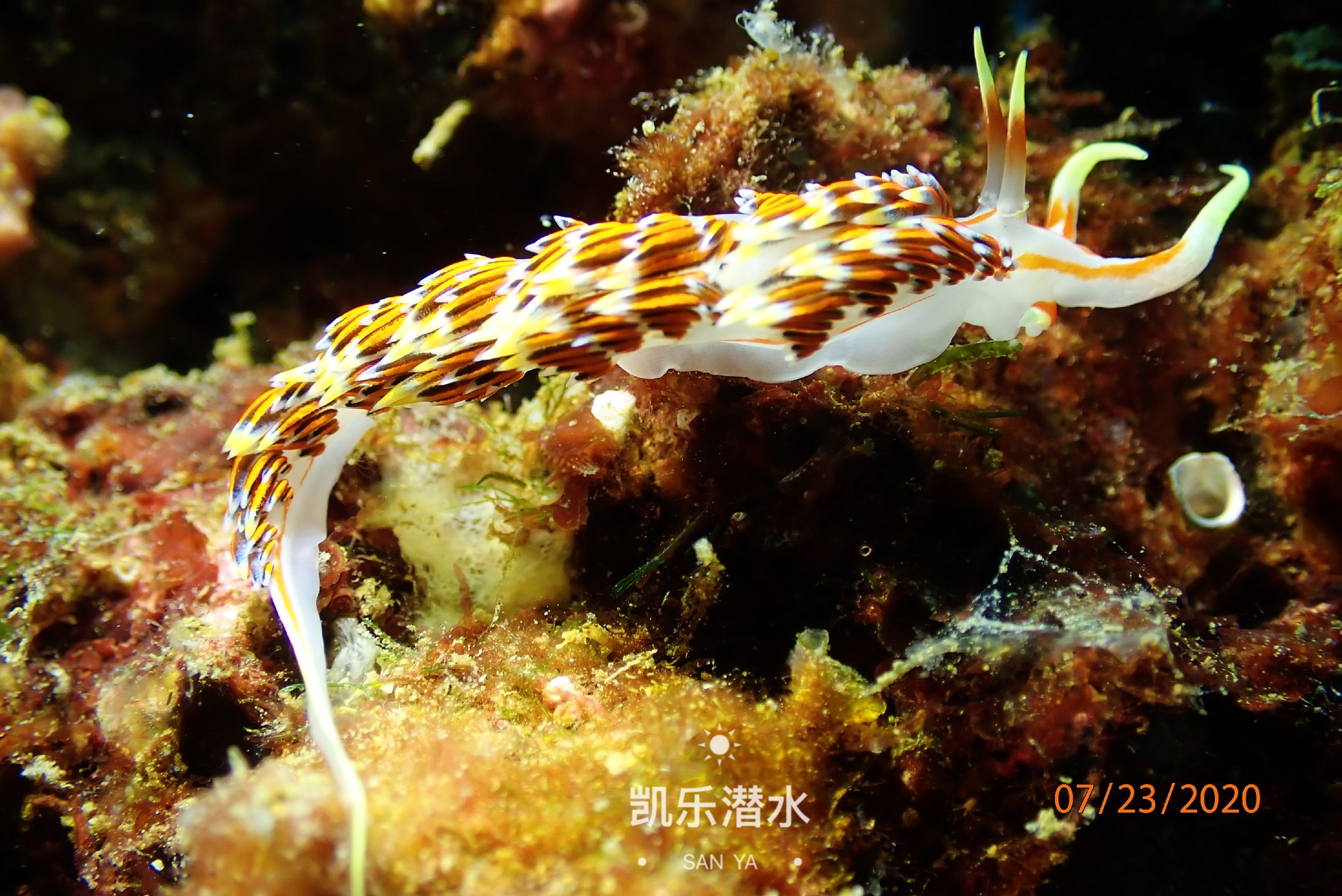 百福湾 photo 6