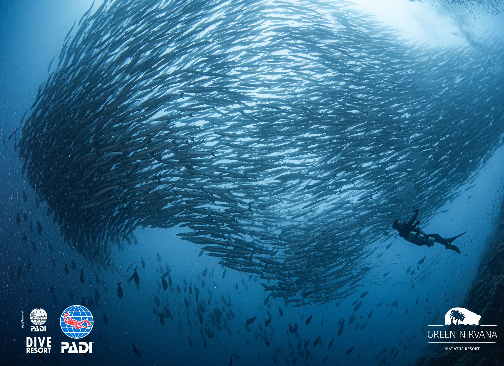 Big Fish Country photo 3