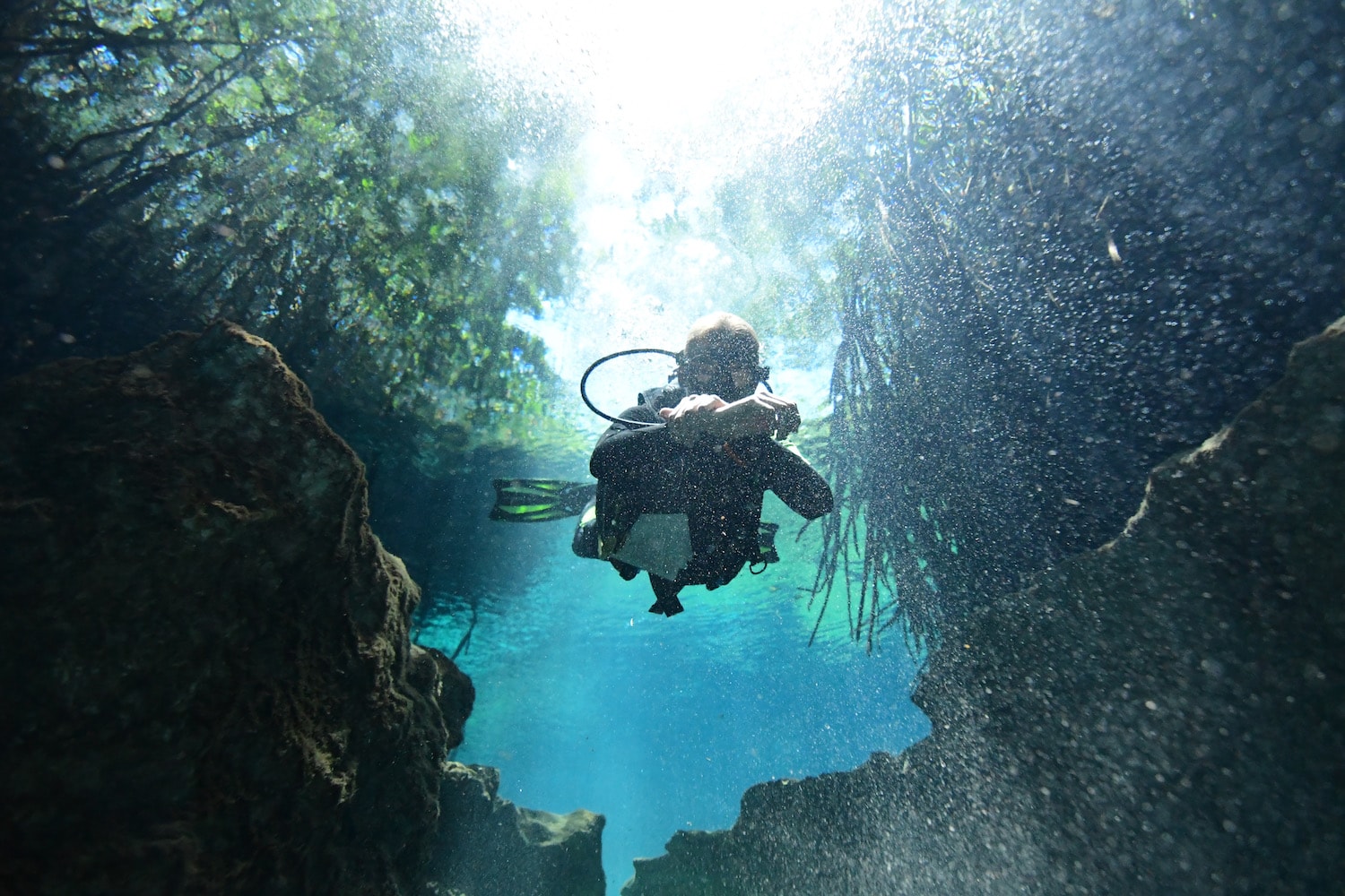 casa cenote photo 2