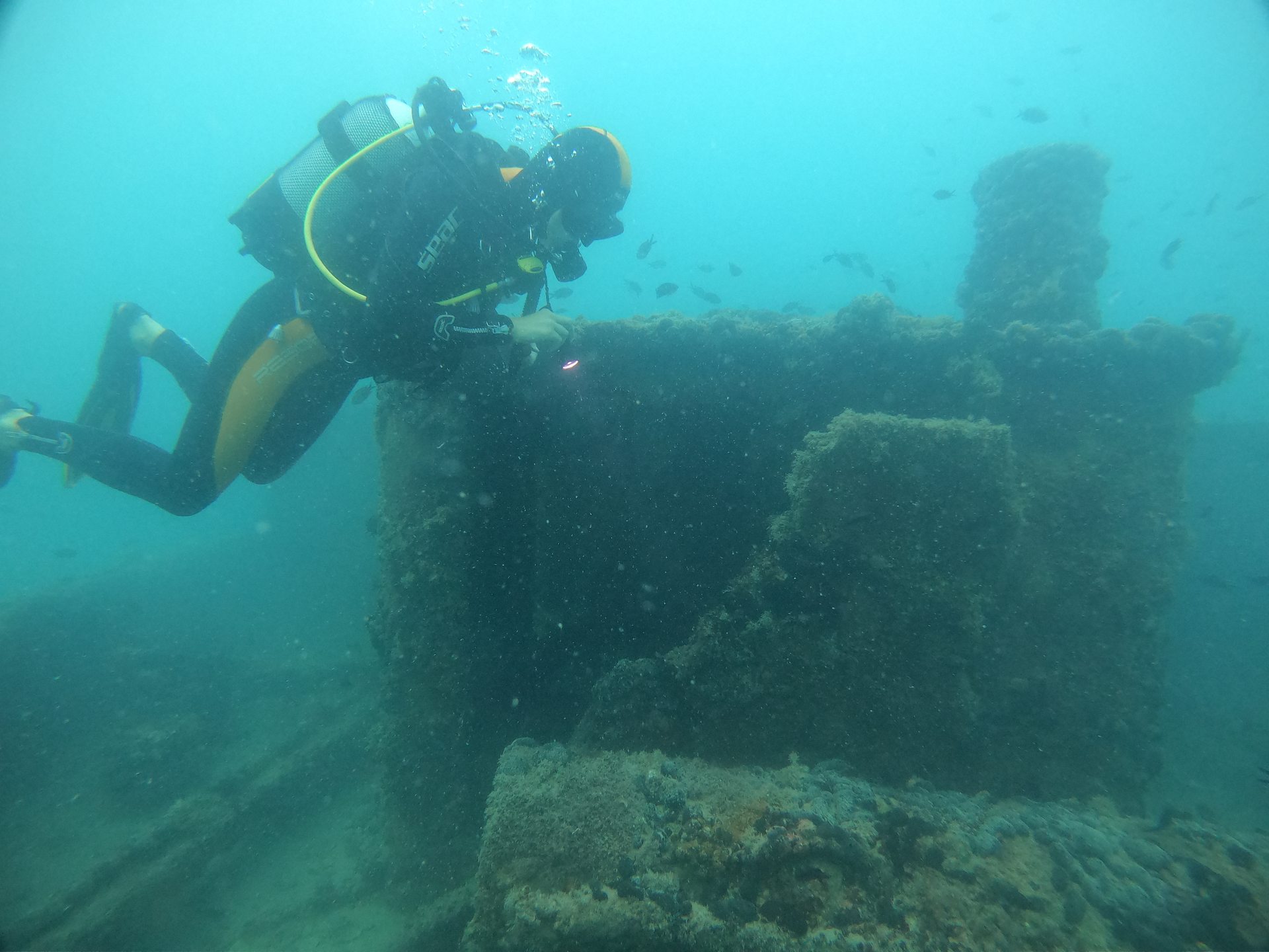 Cretaland Shipwreck photo 4
