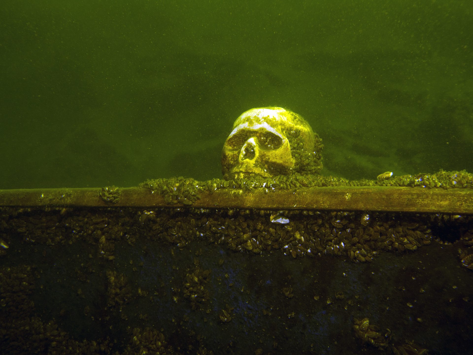 ProDive - Der Tauchplatz photo 3
