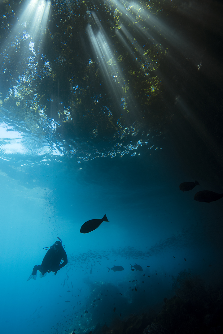 Deacon's Reef