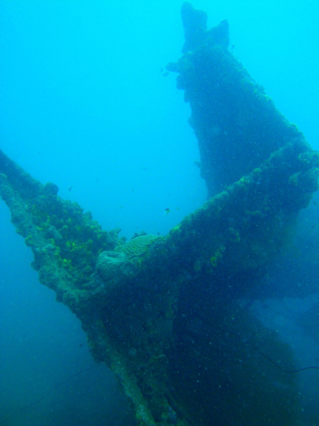 Punta Betin photo 5