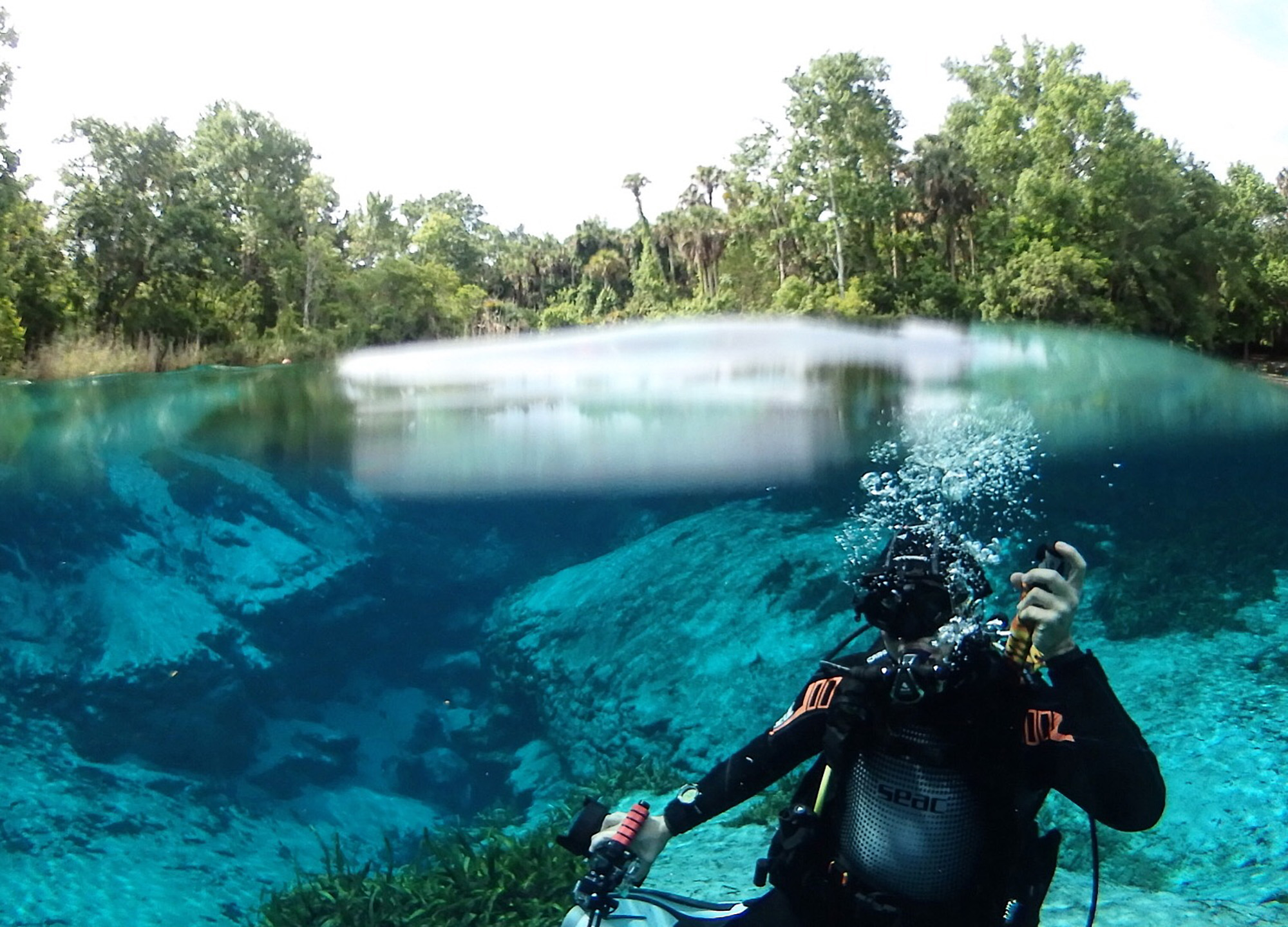 Alexander Springs