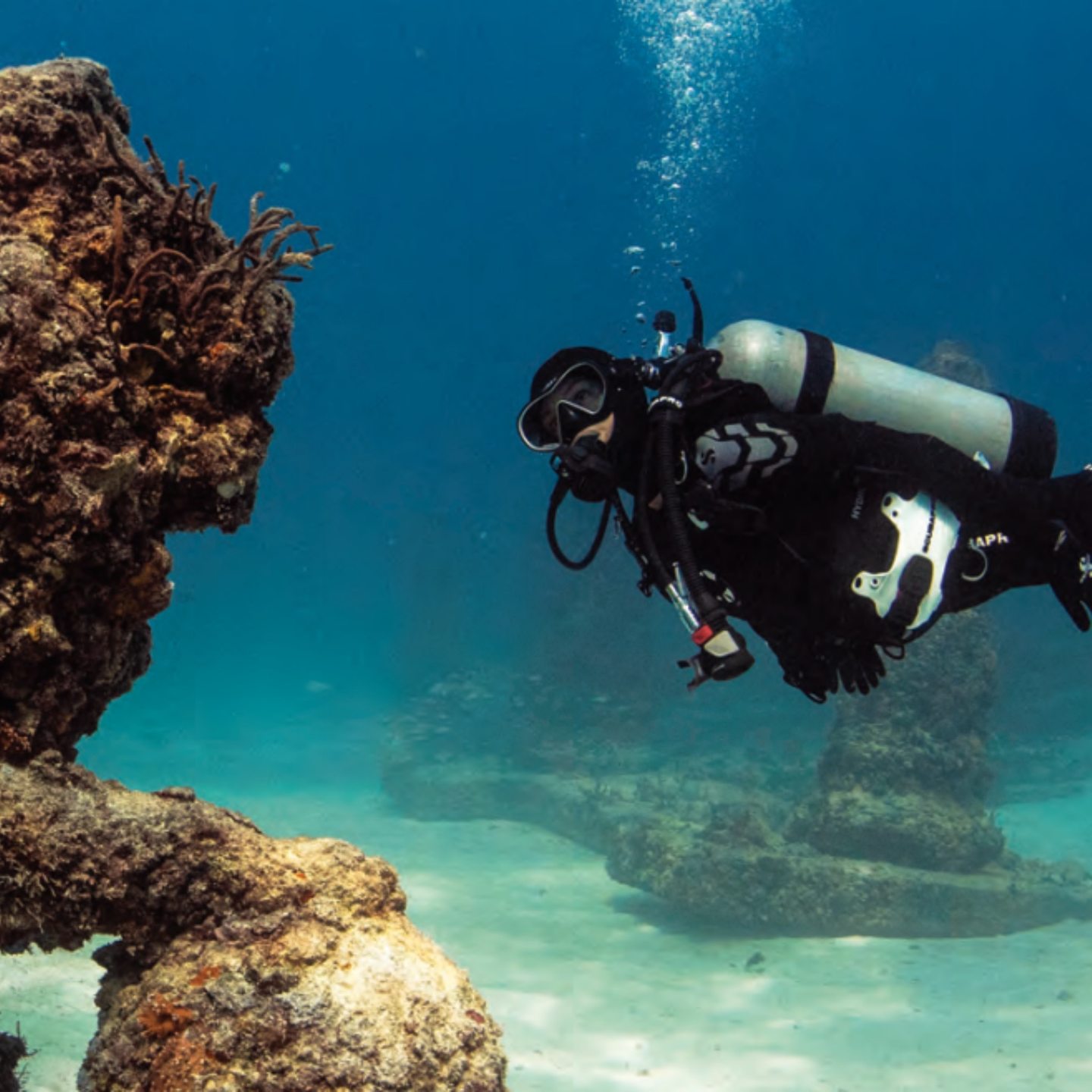 Neptune Memorial Reef photo 3