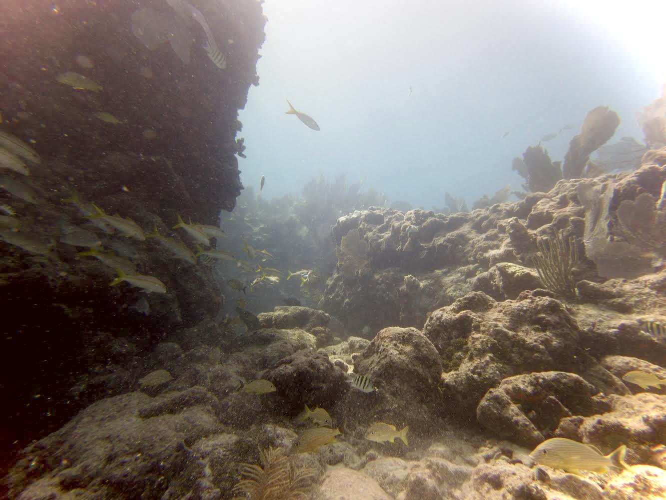 Eastern Dry Rocks