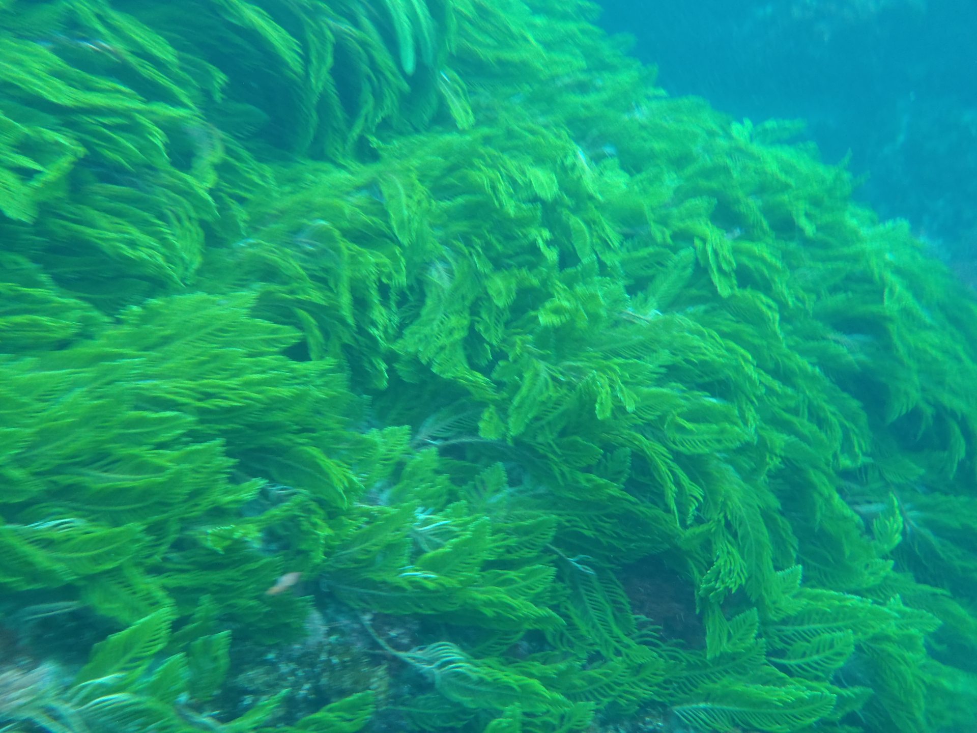 Stingray Bay photo 4