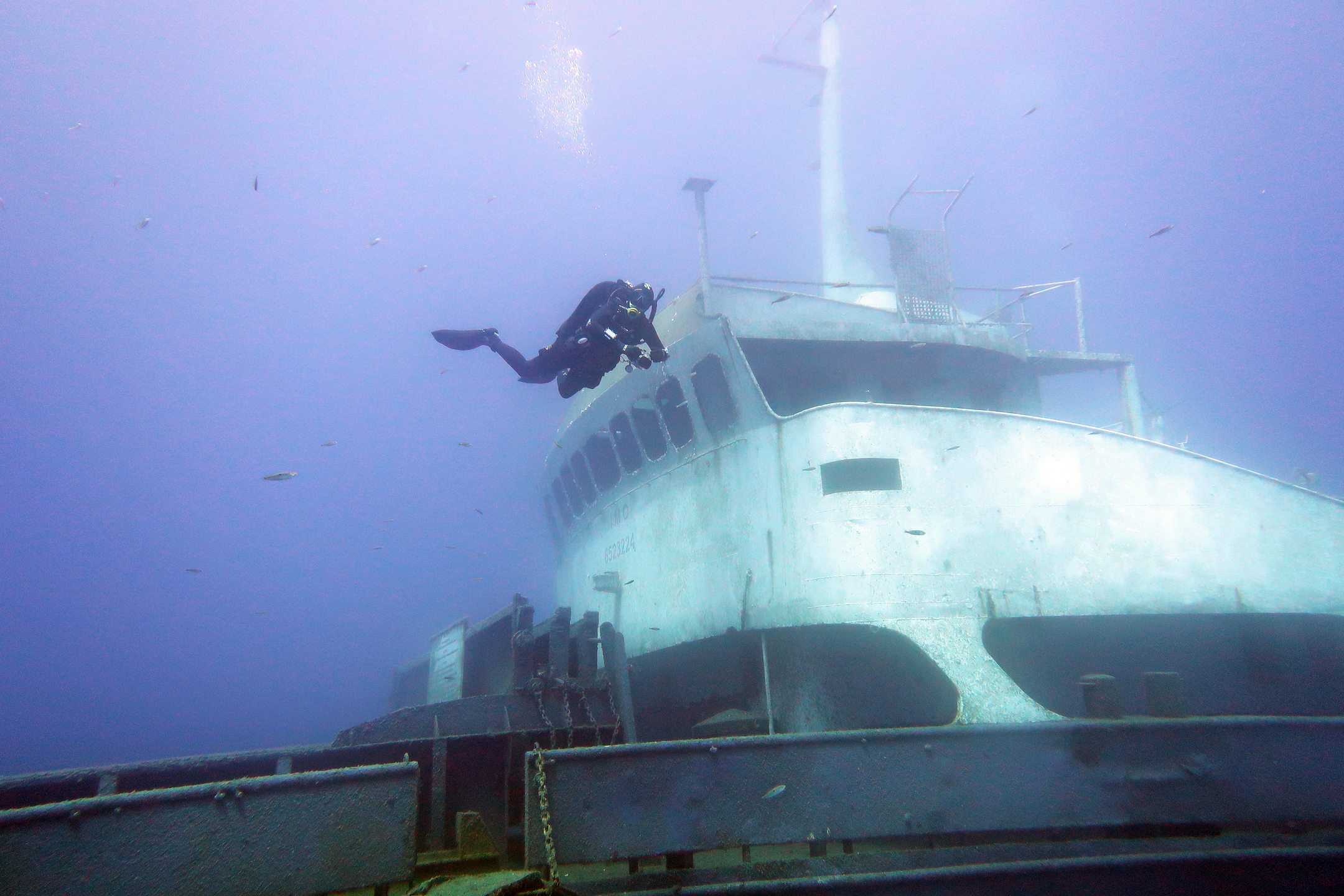 ELPIDA WRECK