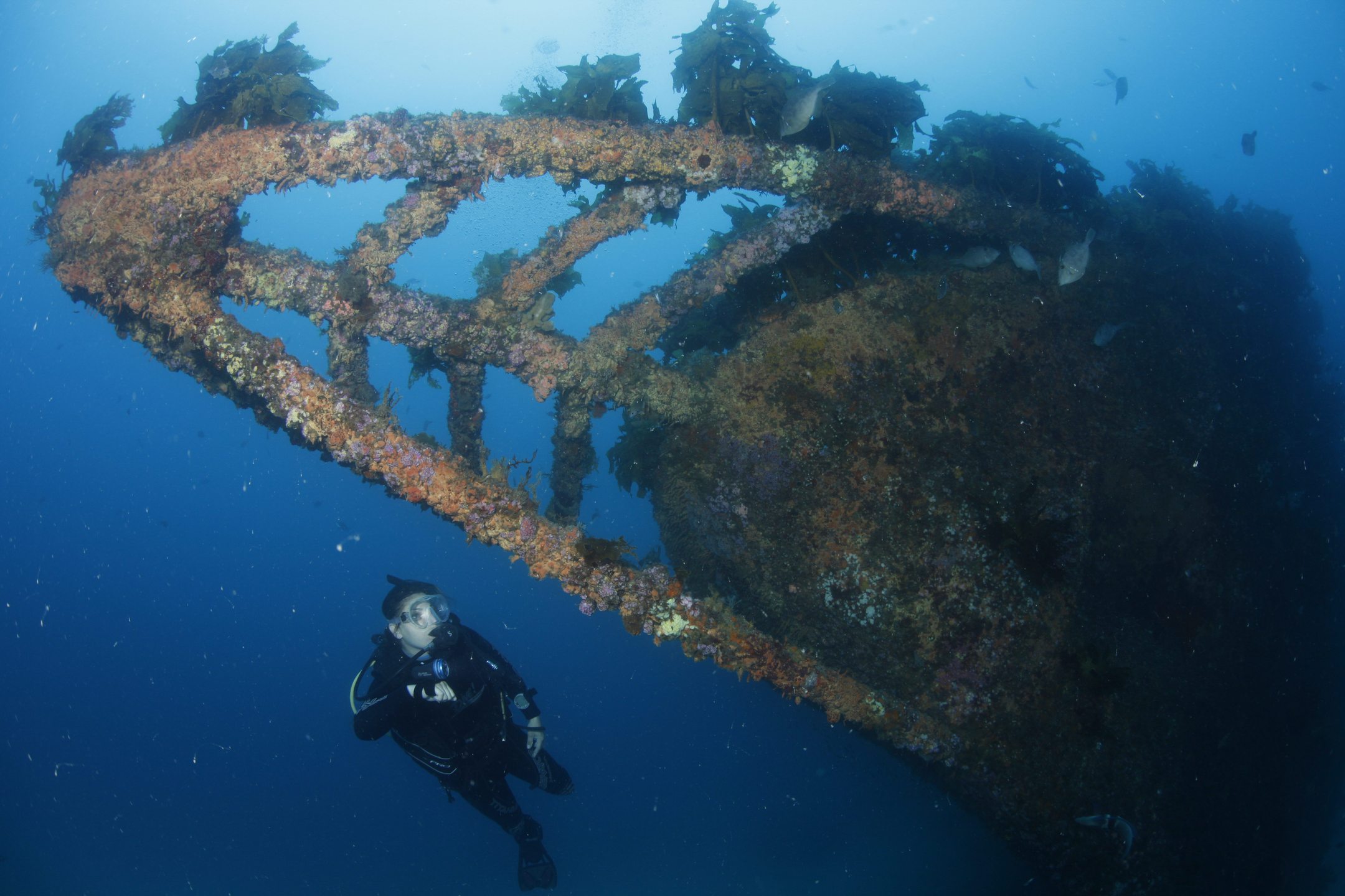 Rainbow Warrior Wreck photo 6