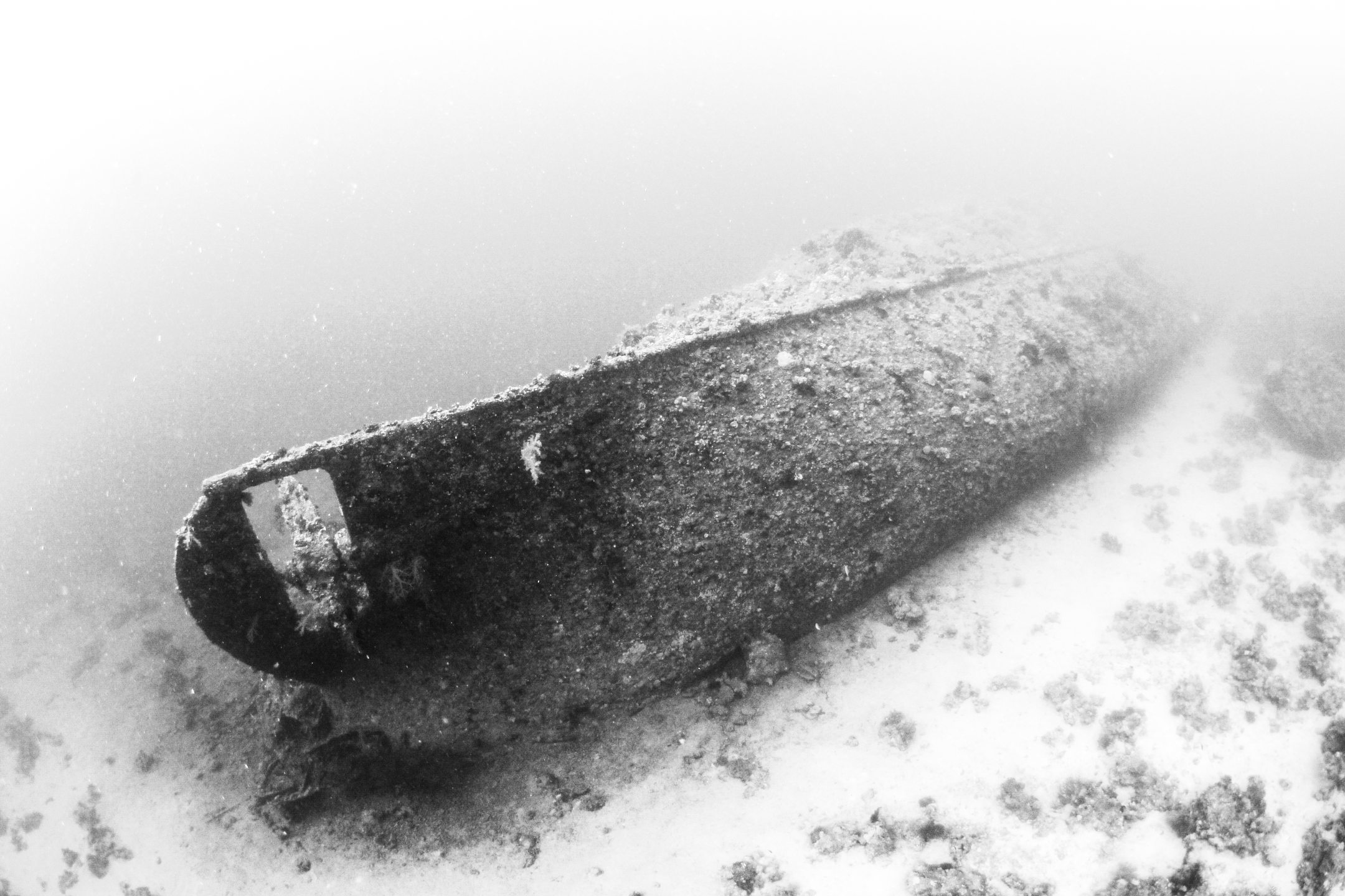SS Dunraven Wreck photo 5