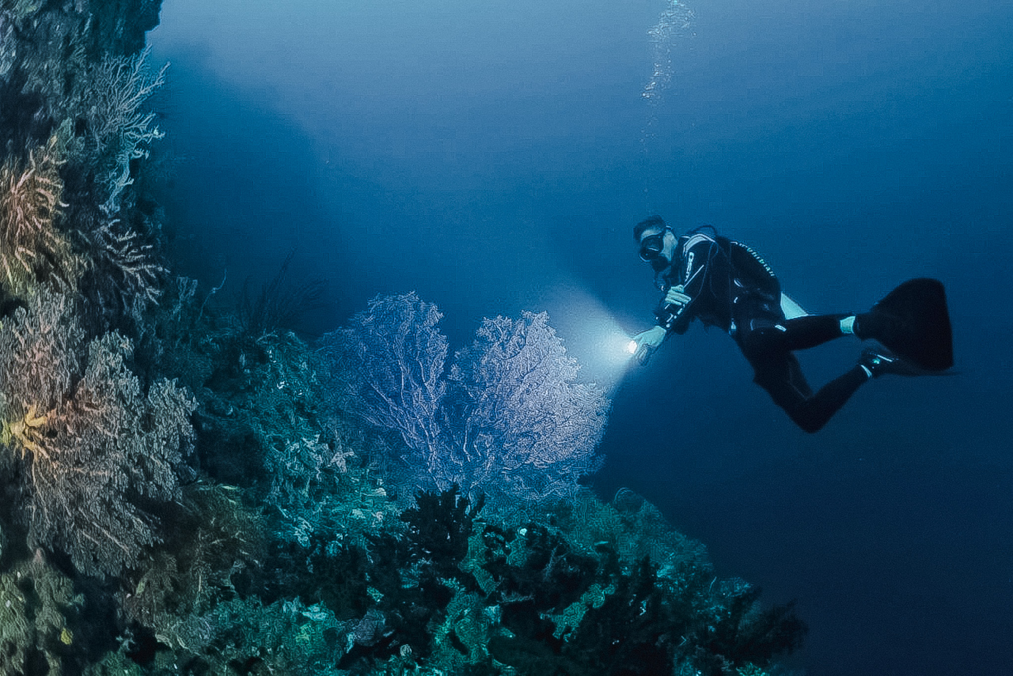 Hibo Reef