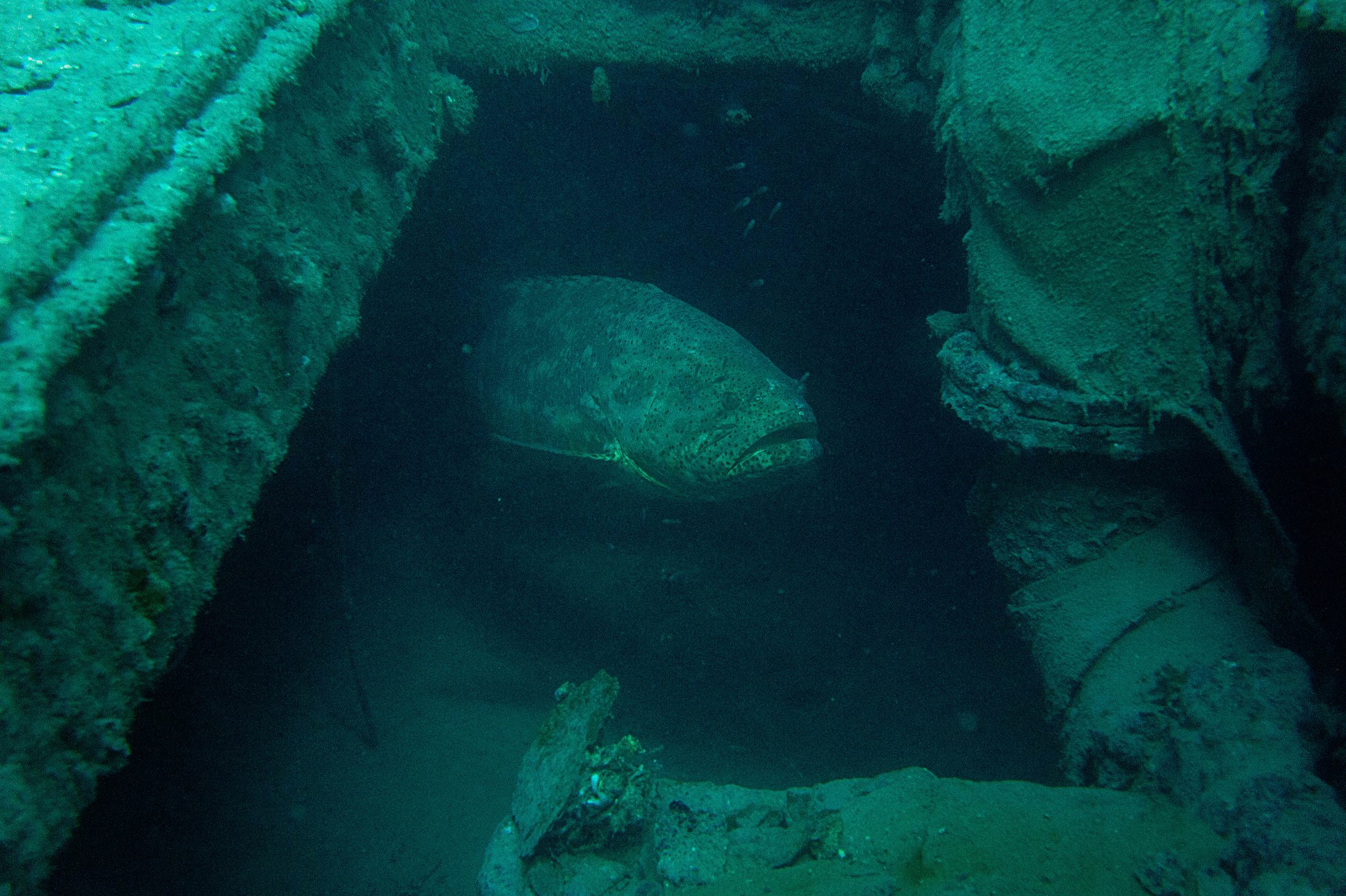 Wreck Trek photo 3