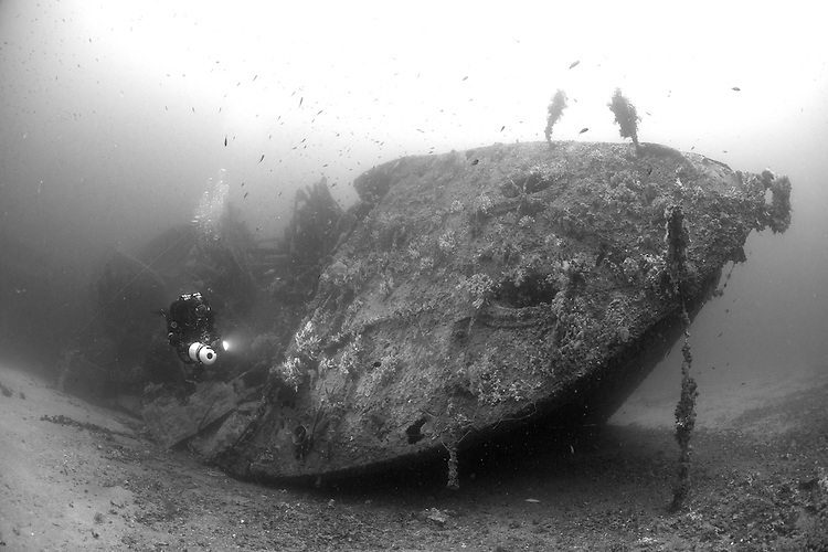 HMS Southwold photo 4
